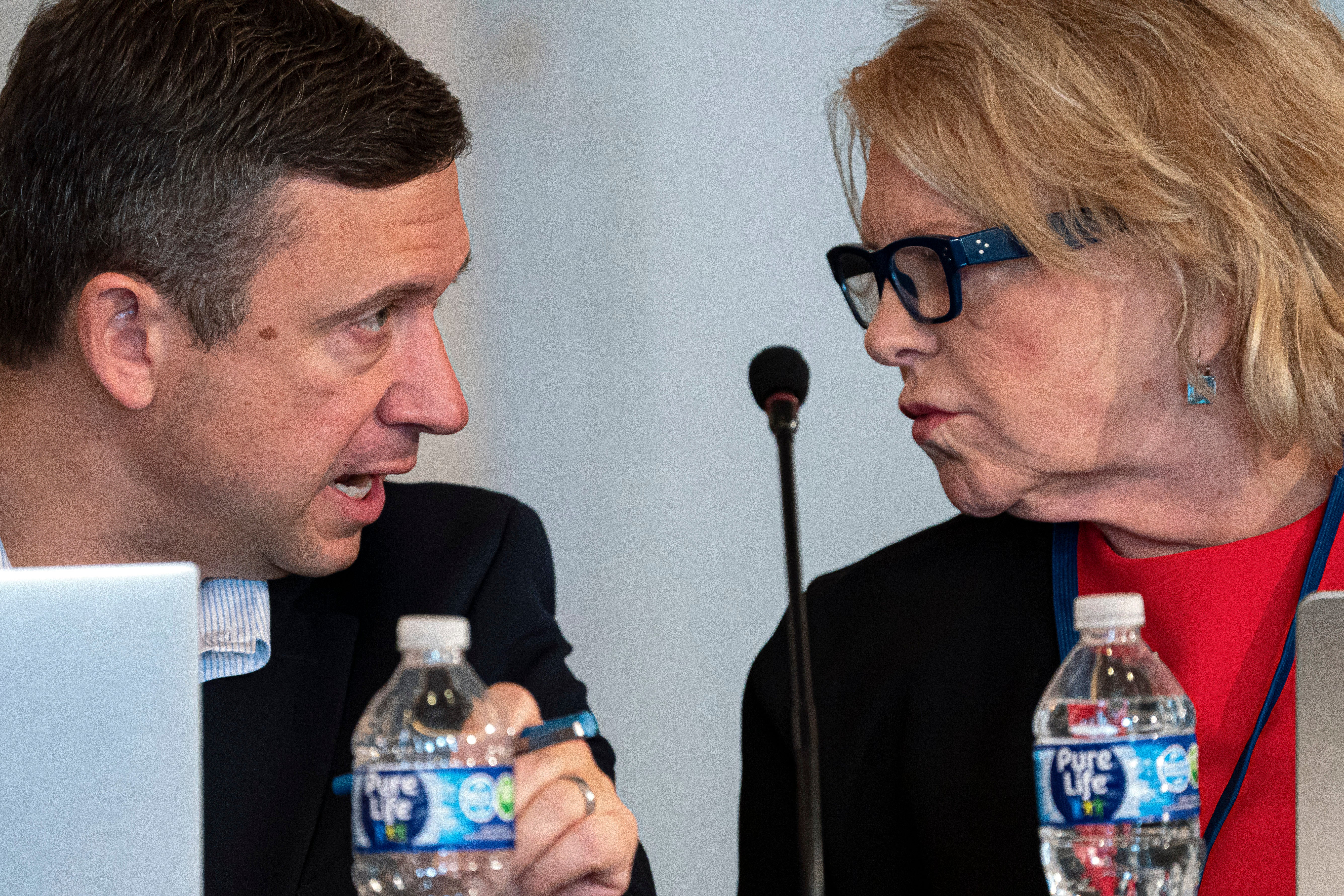 Election 2024 Democrats