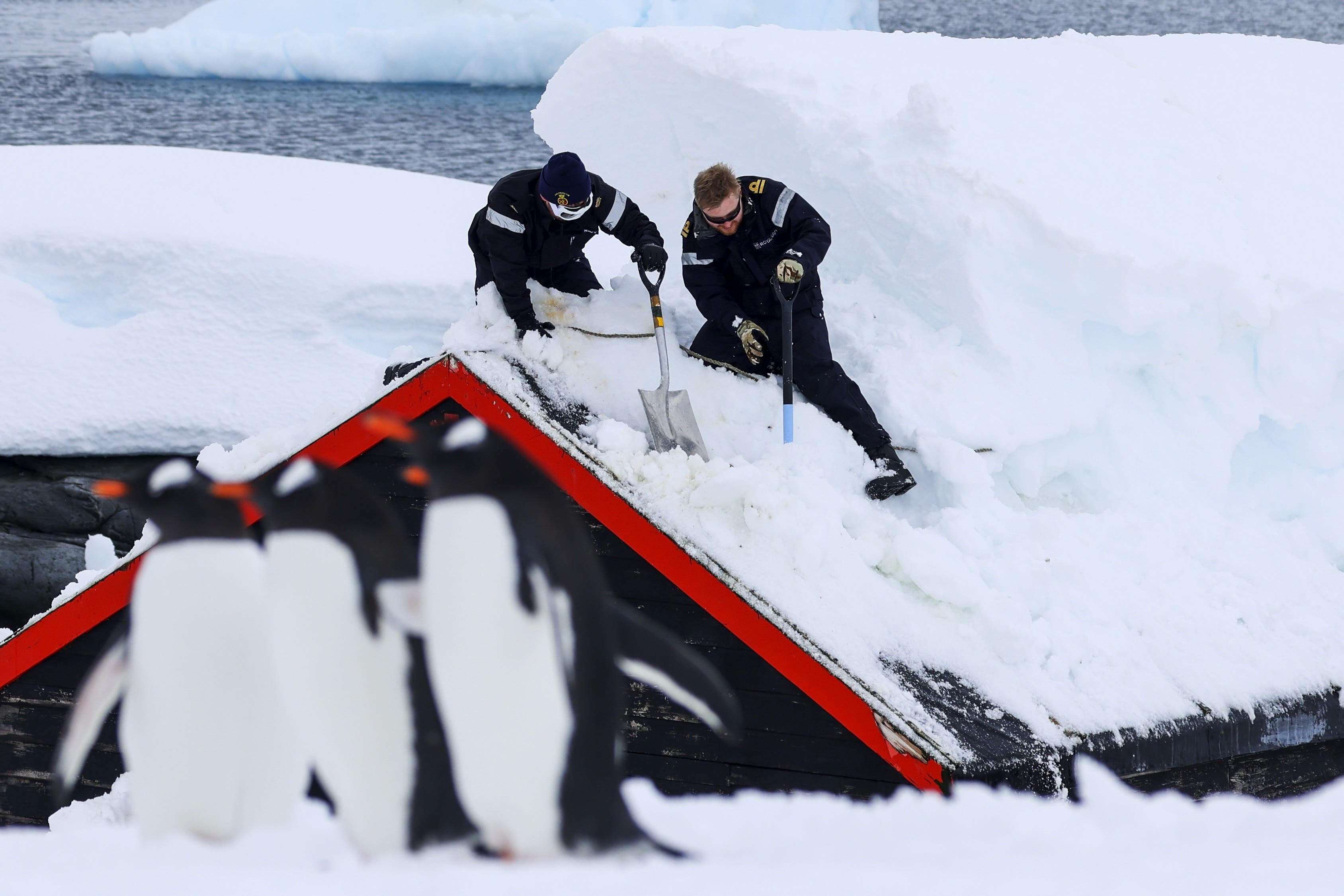 HMS Protector’s Ship’s Company and UKAHT team work together in Port Lockroy (LPhot Unaisi Luke/PA)