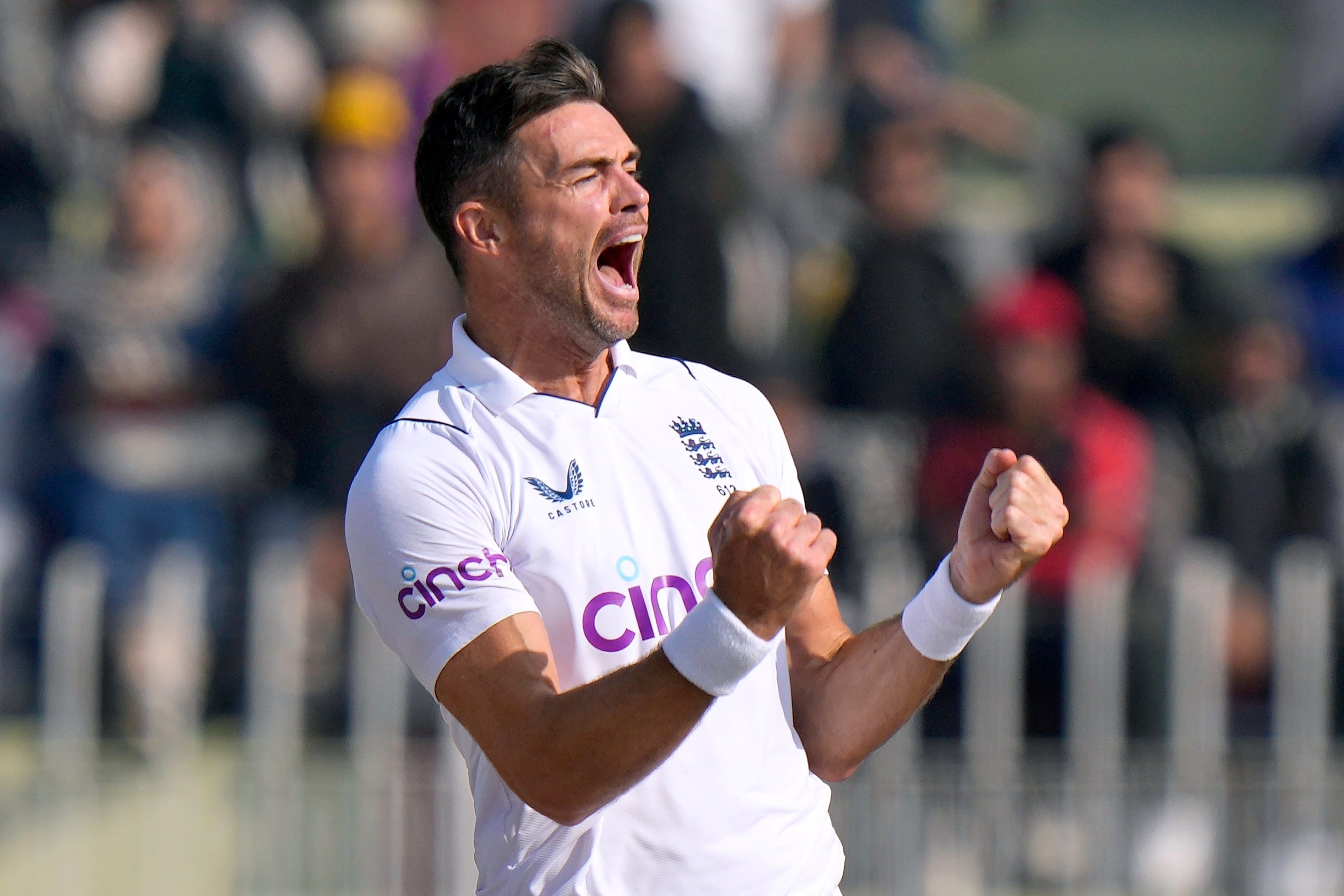 James Anderson was overjoyed at victory in Rawalpindi (Anjum Naveed/AP)