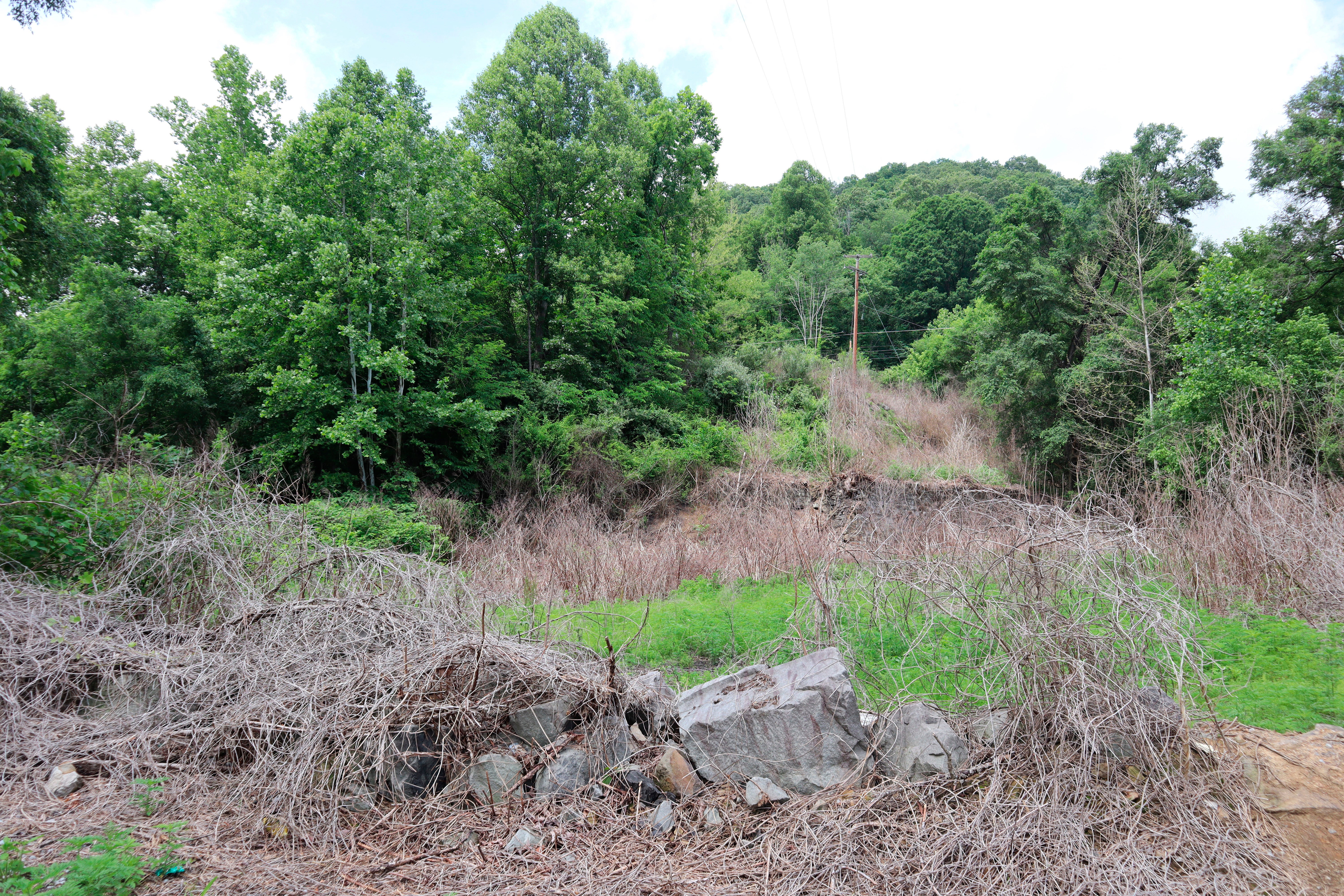 Miners Graves West Virginia