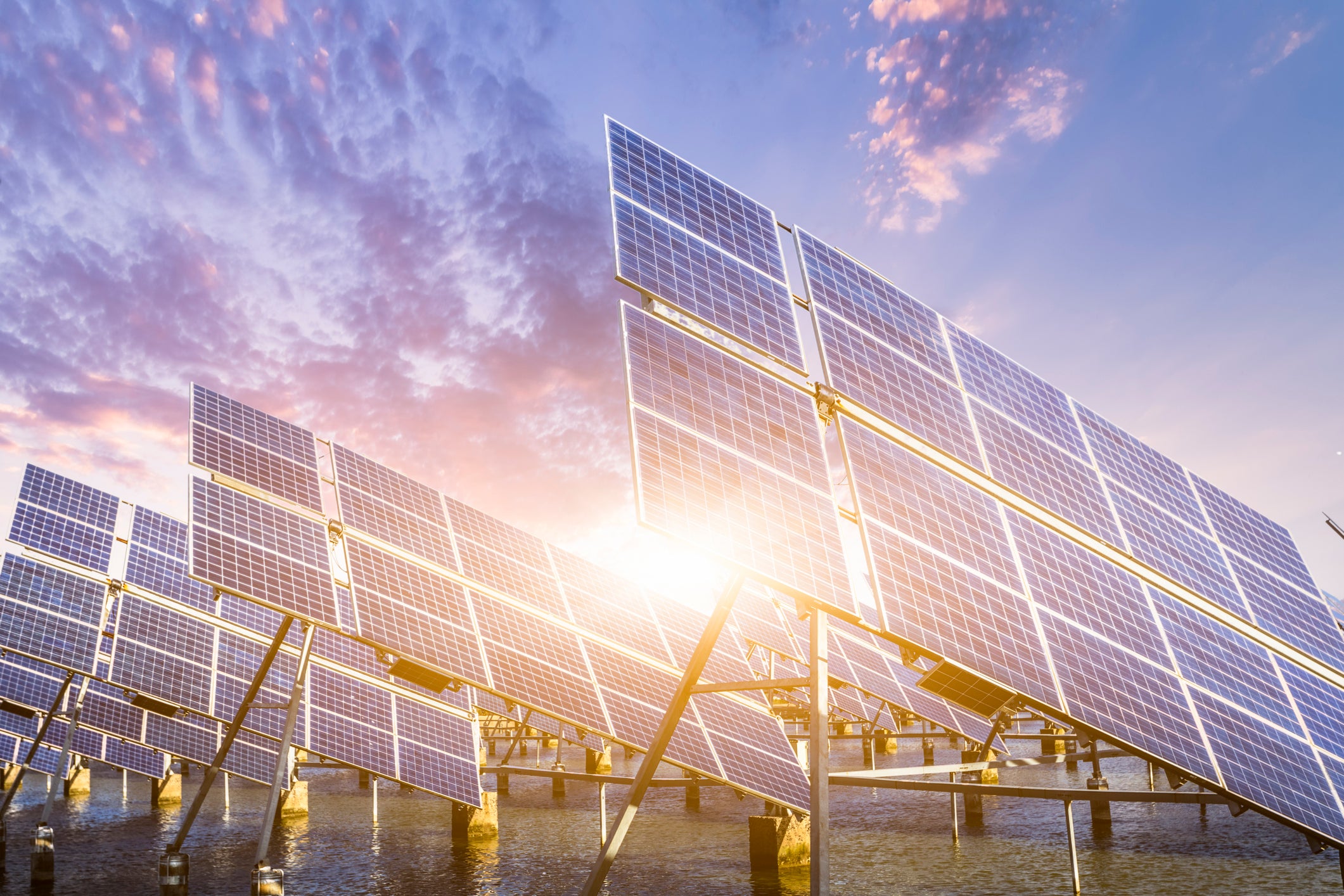 Solar panels in Shanghai. China is on course to build nearly half of all new global renewable power capacity over the next five years