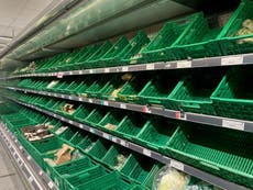 Brexit red tape risks winter of empty supermarket shelves, food chiefs warn