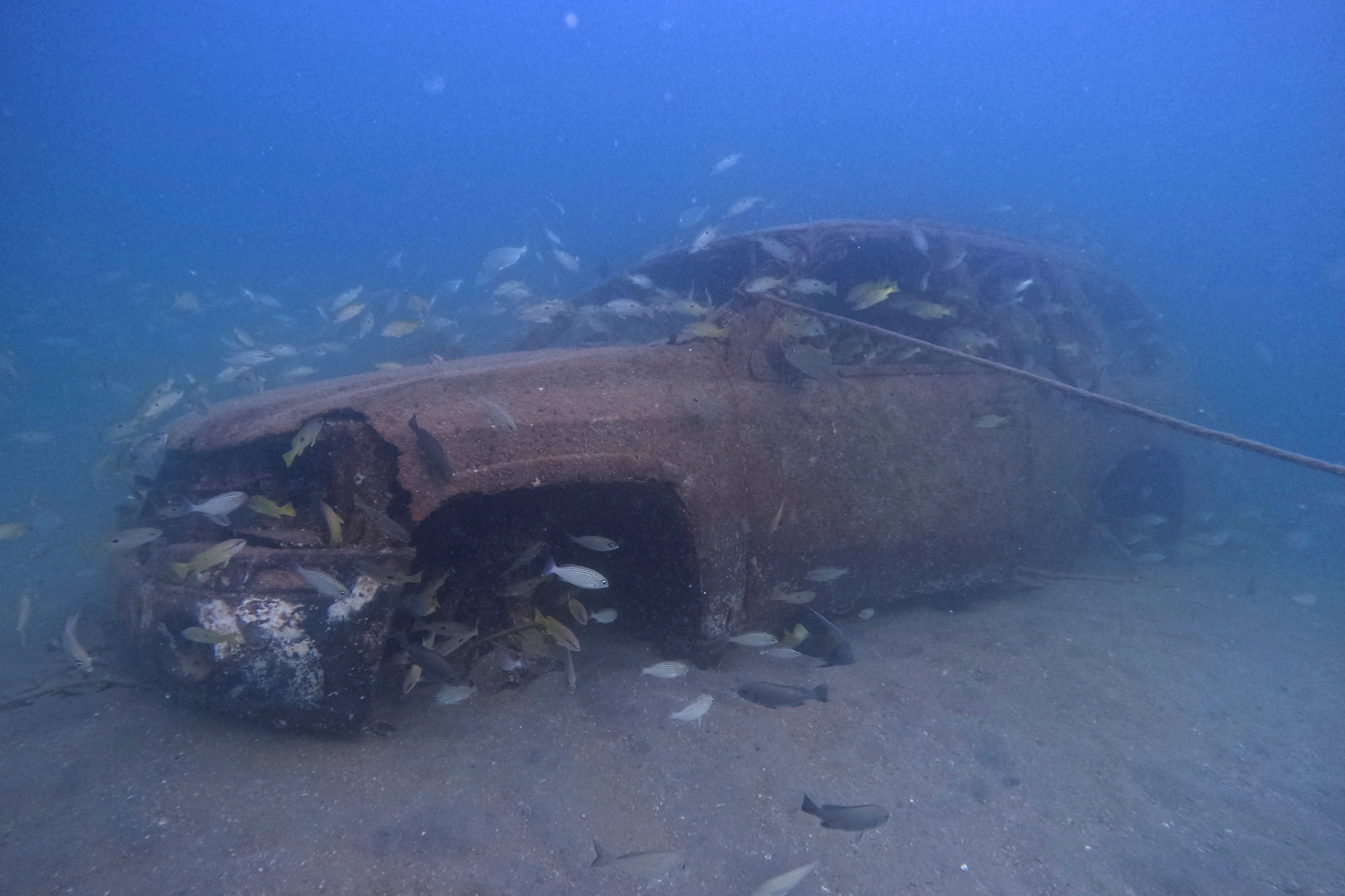 WCup Qatar Artificial Reefs