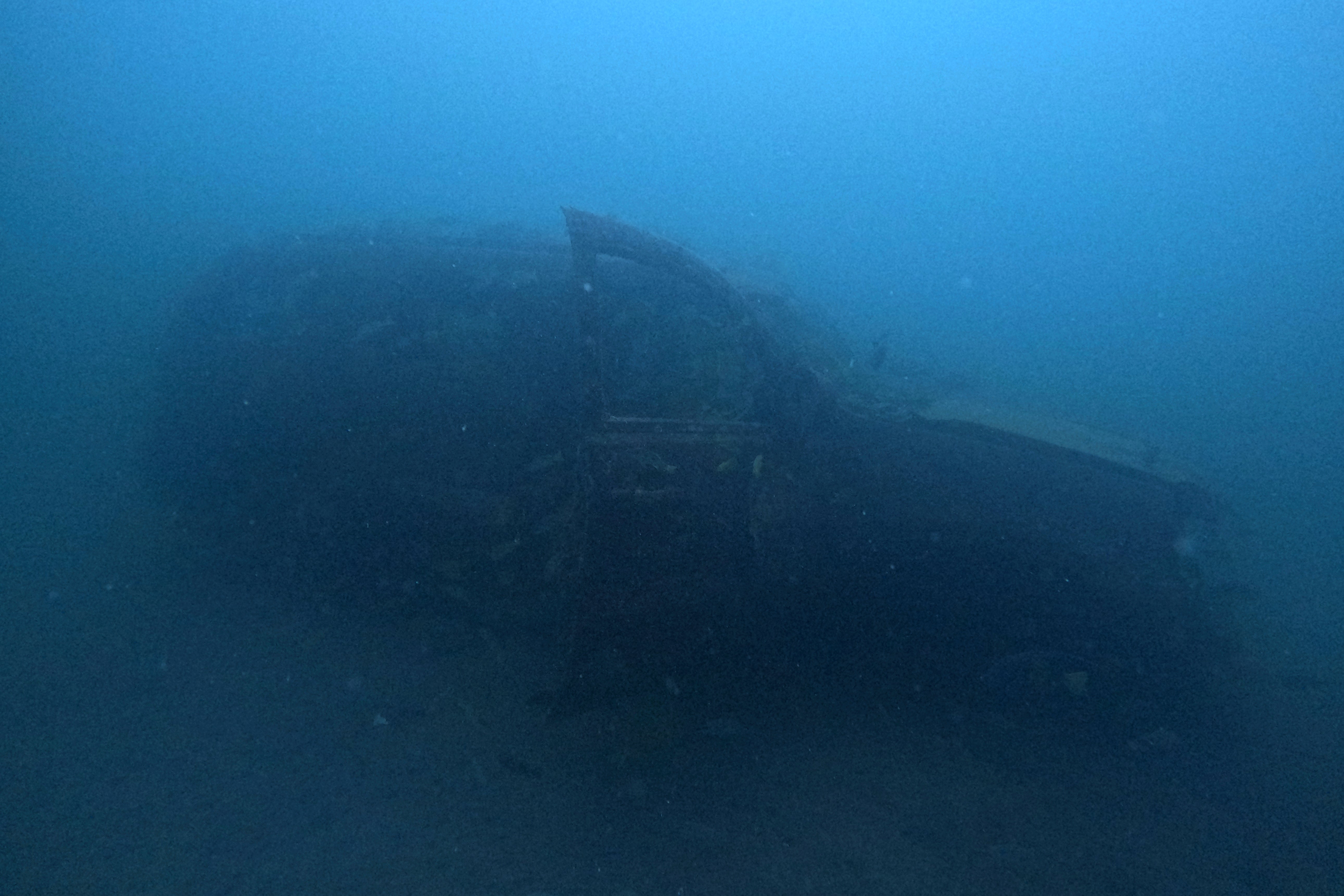 WCup Qatar Artificial Reefs