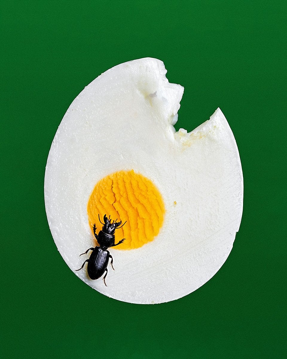 Bobby Doherty, ‘Bug Egg’, 2018