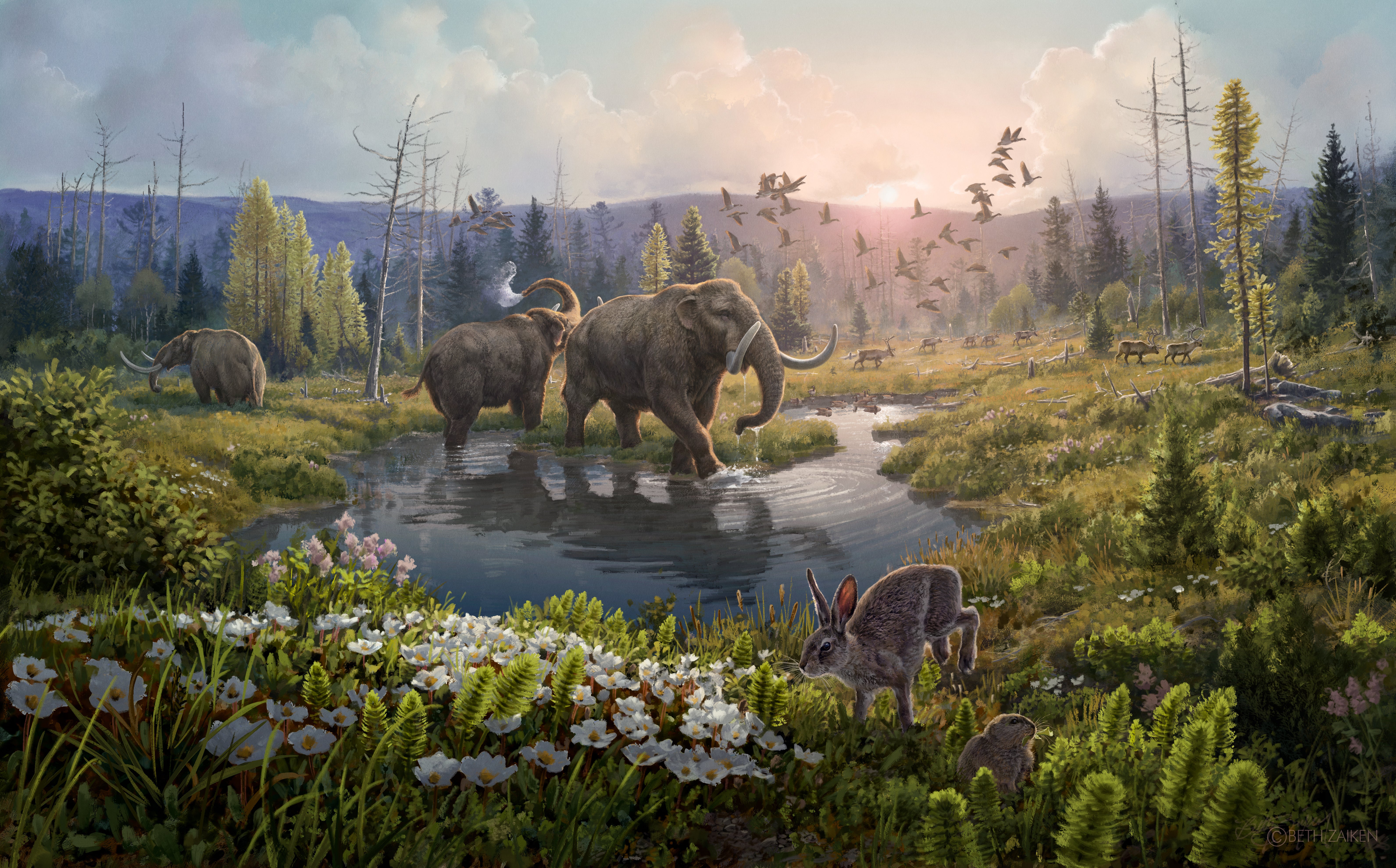 Artist’s reconstruction of Kap København Formation two million years ago