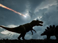 Dinosaurs were thriving before asteroid wiped them out, landmark study reveals