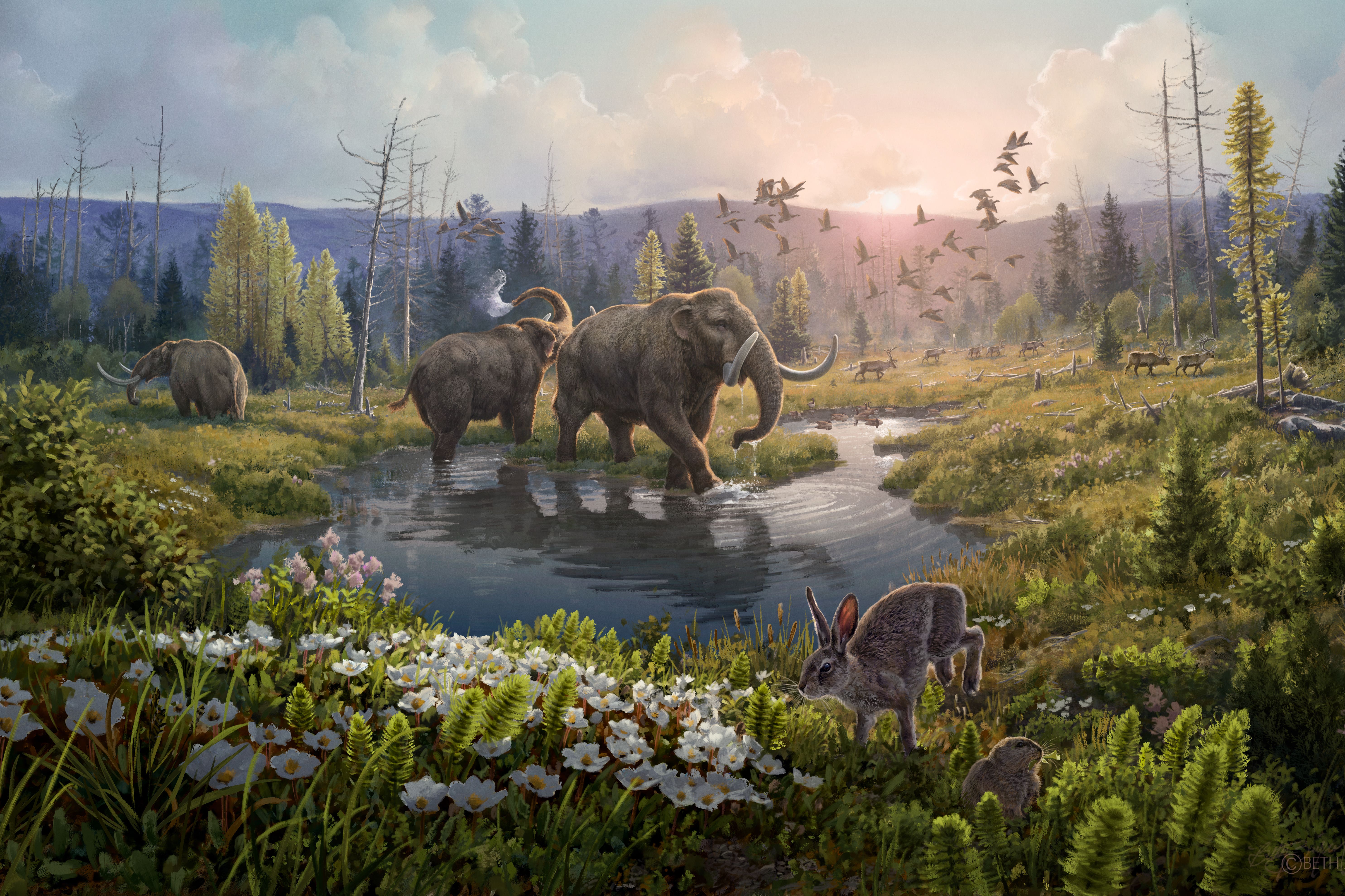 An artist’s reconstruction of Kap Kobenhavn formation two-million years ago (Beth Zaiken/PA)