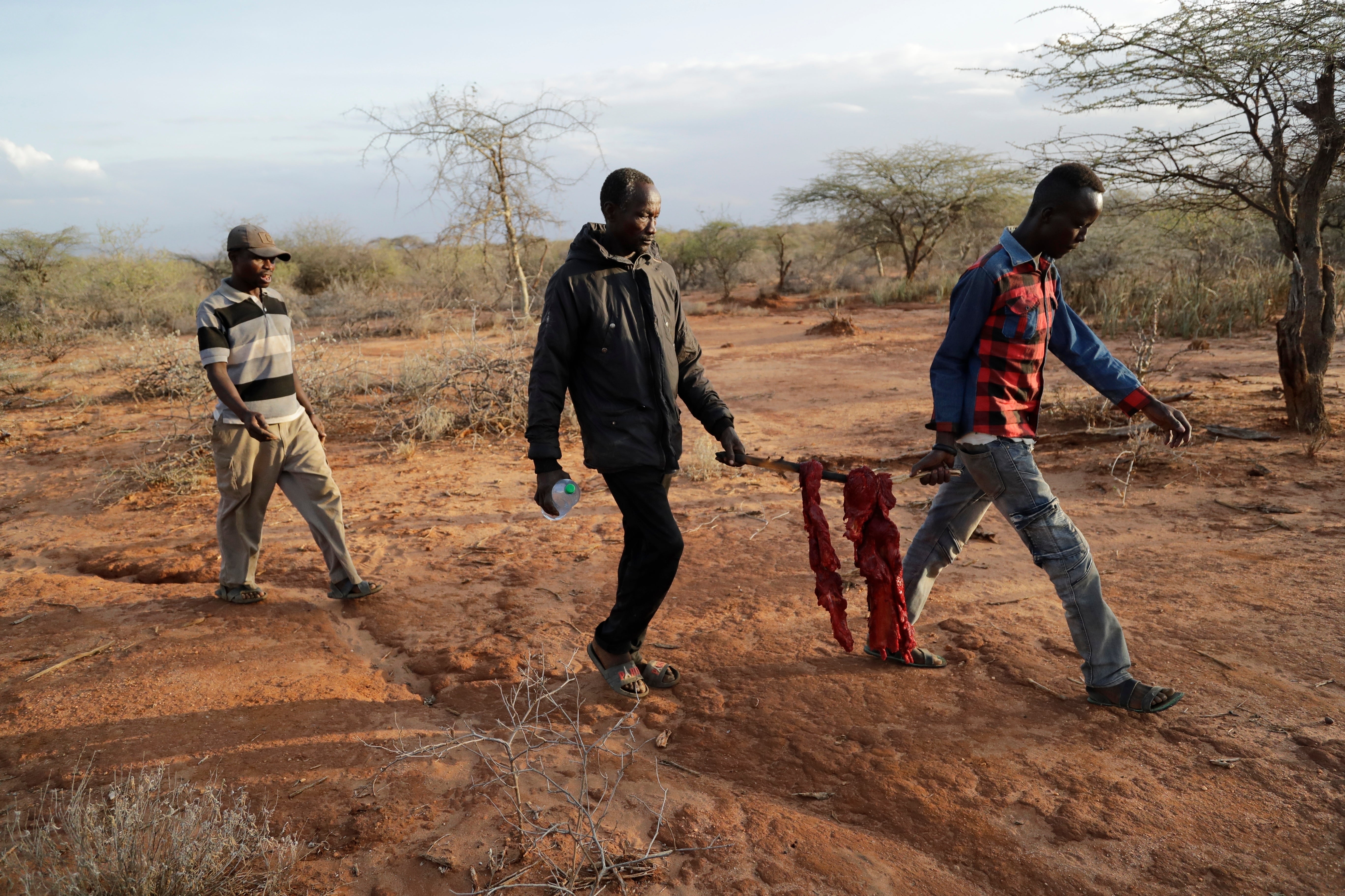 Biodiversity Conference Wildlife