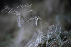 People struggling to heat homes in ‘dreadful’ position due to cold snap