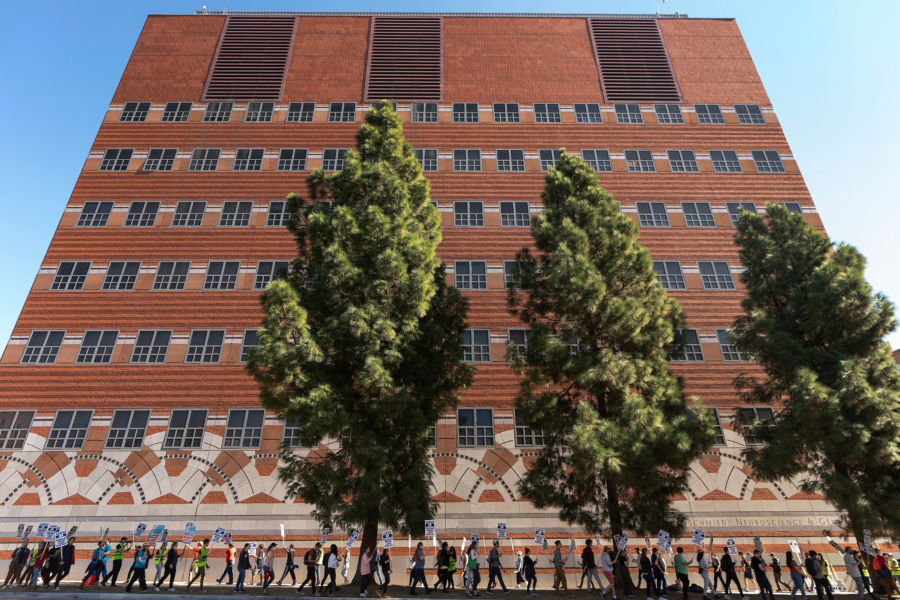 University of California Strike