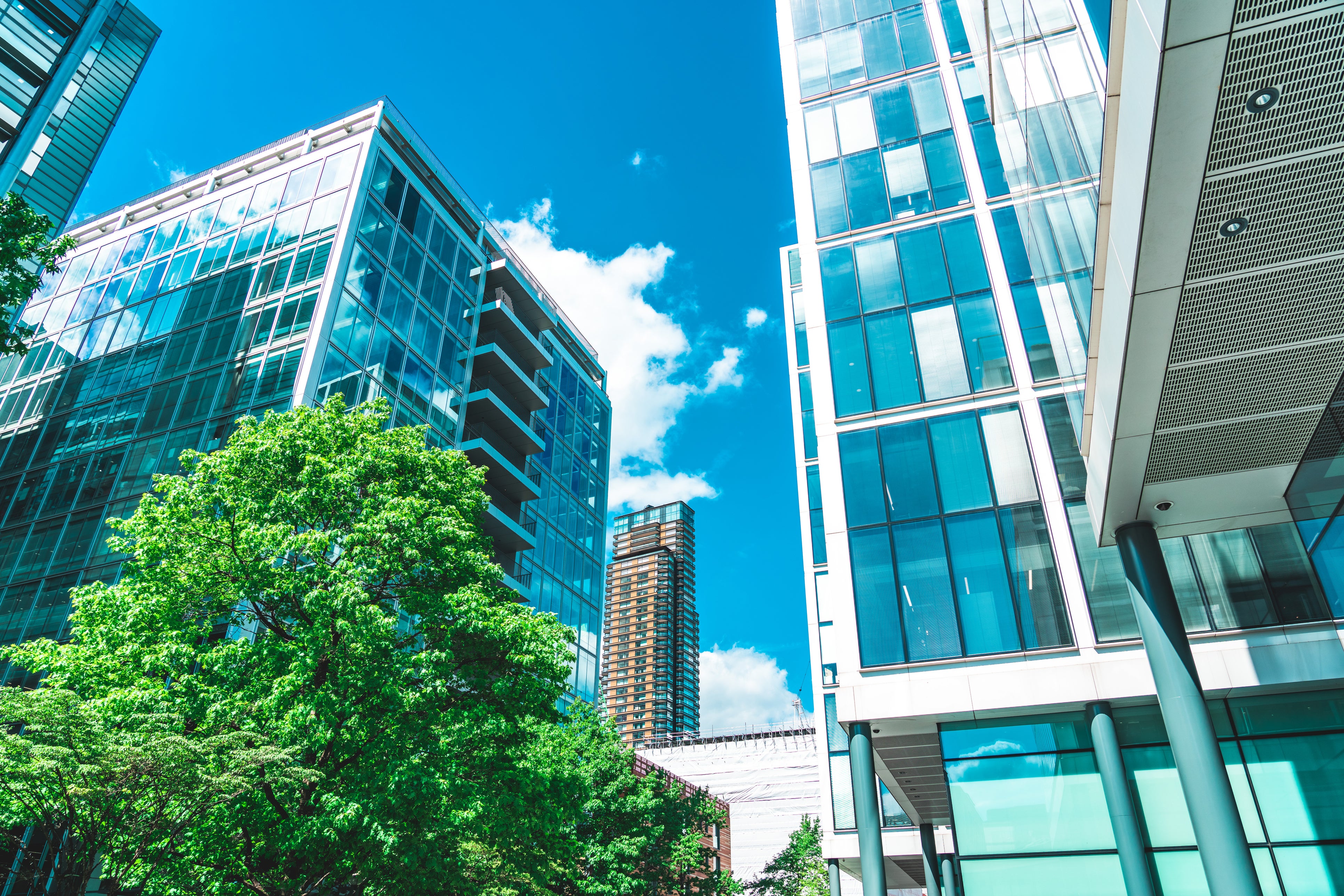 Business towers and Green leaves, London