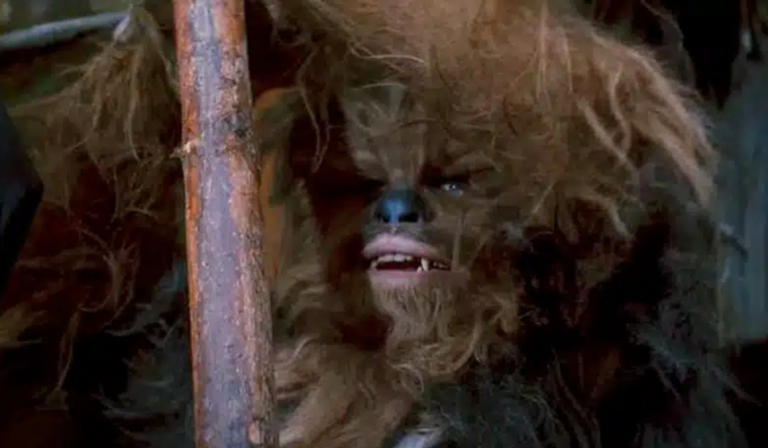 Gary Friedkin played an Ewok in ‘Return of the Jedi’