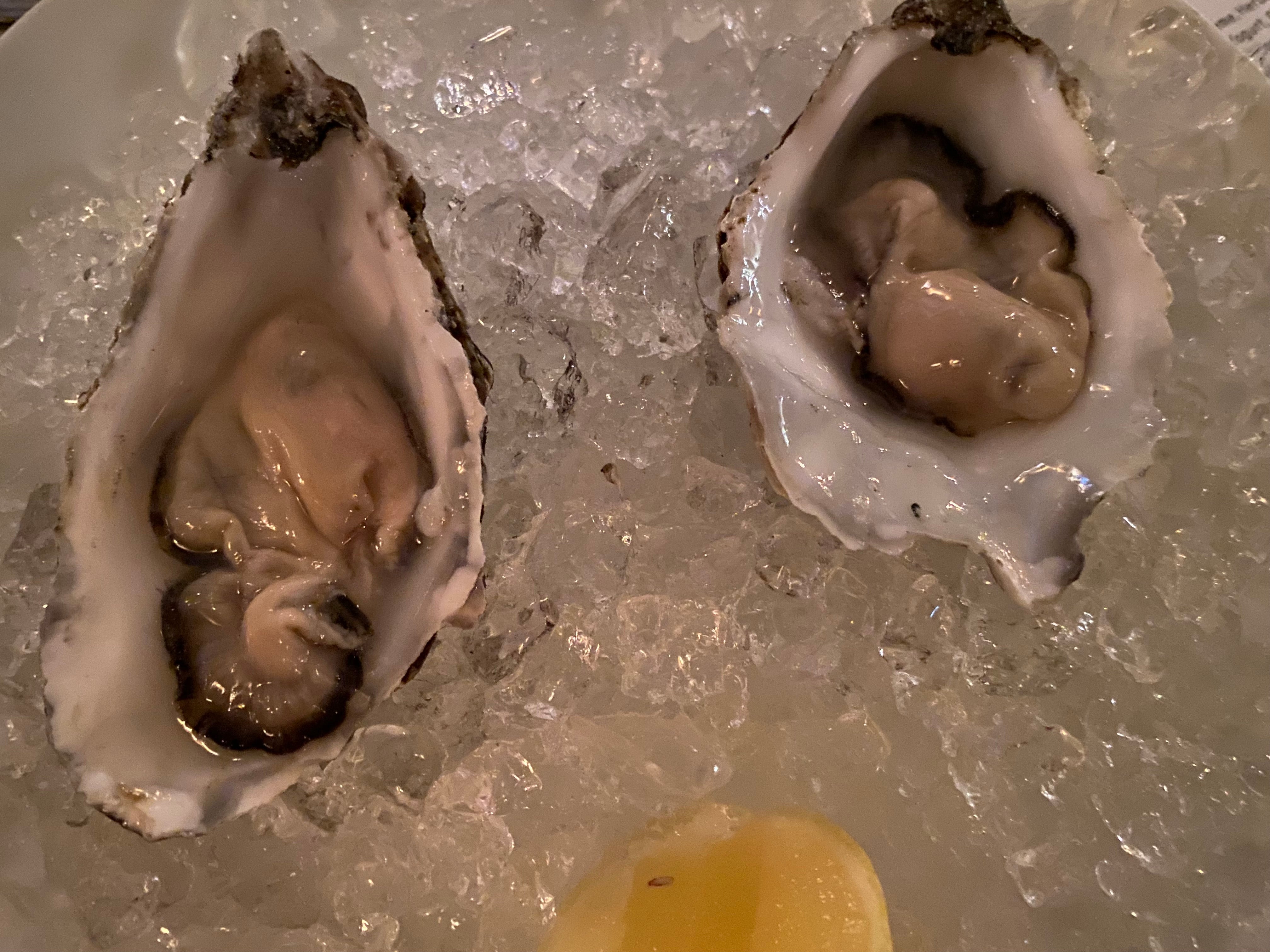 The oysters at the Montefiore restaurant were a highlight