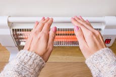 Martin Lewis: How much does it cost to run a halogen heater and what features should I look for?
