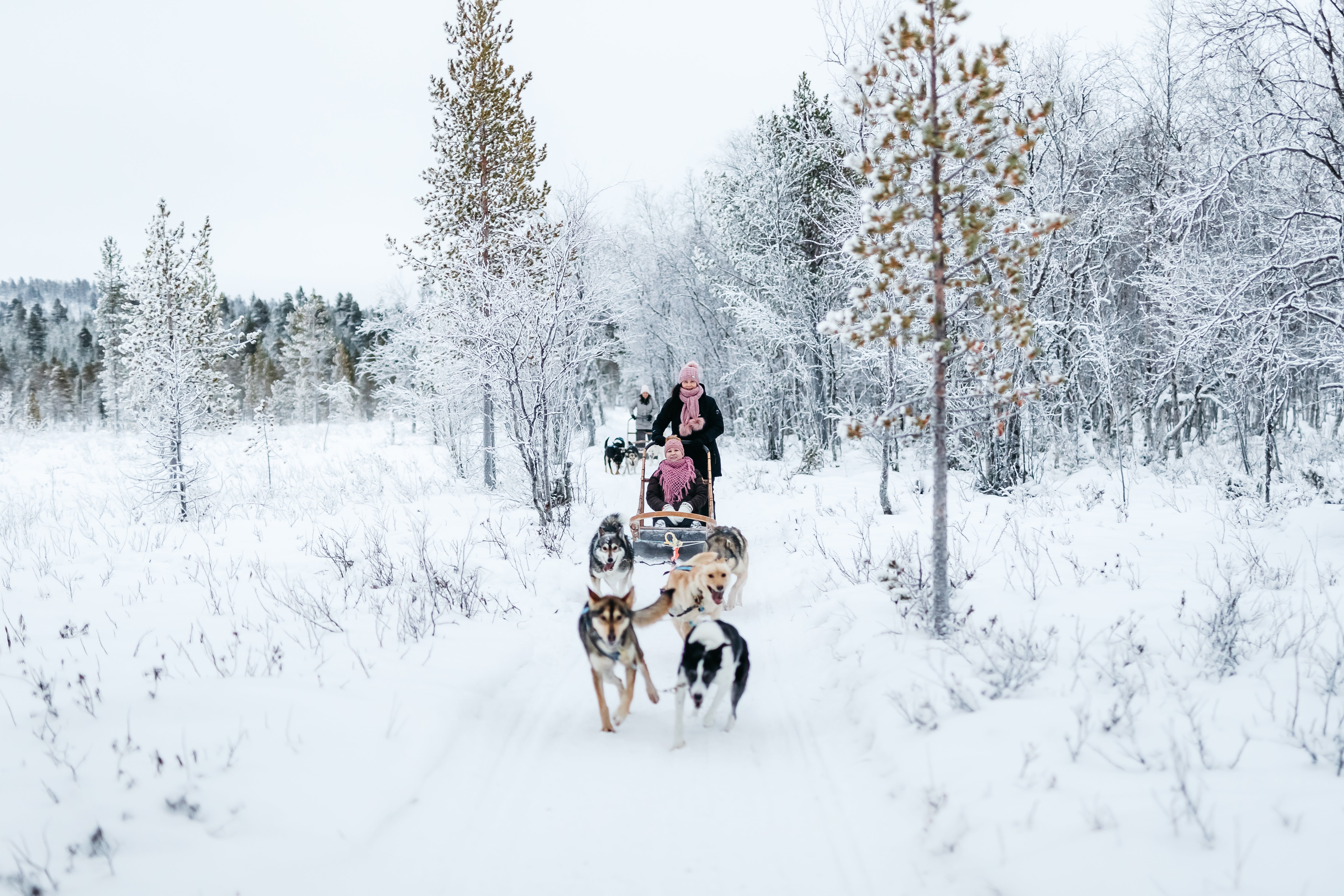 Husky sledding is one of many child-friendly activities