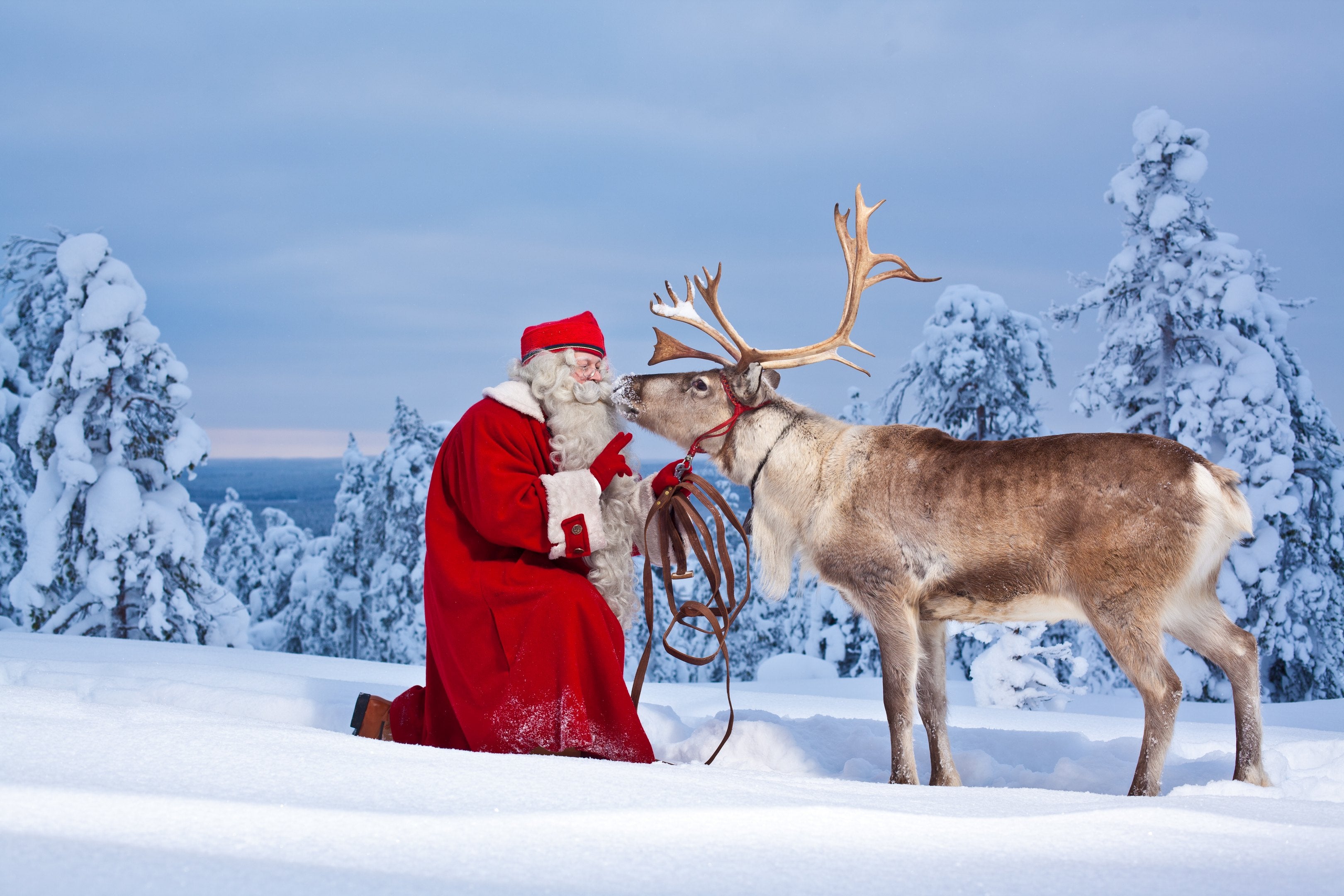 Felicity and her family go Santa hunting in Lapland