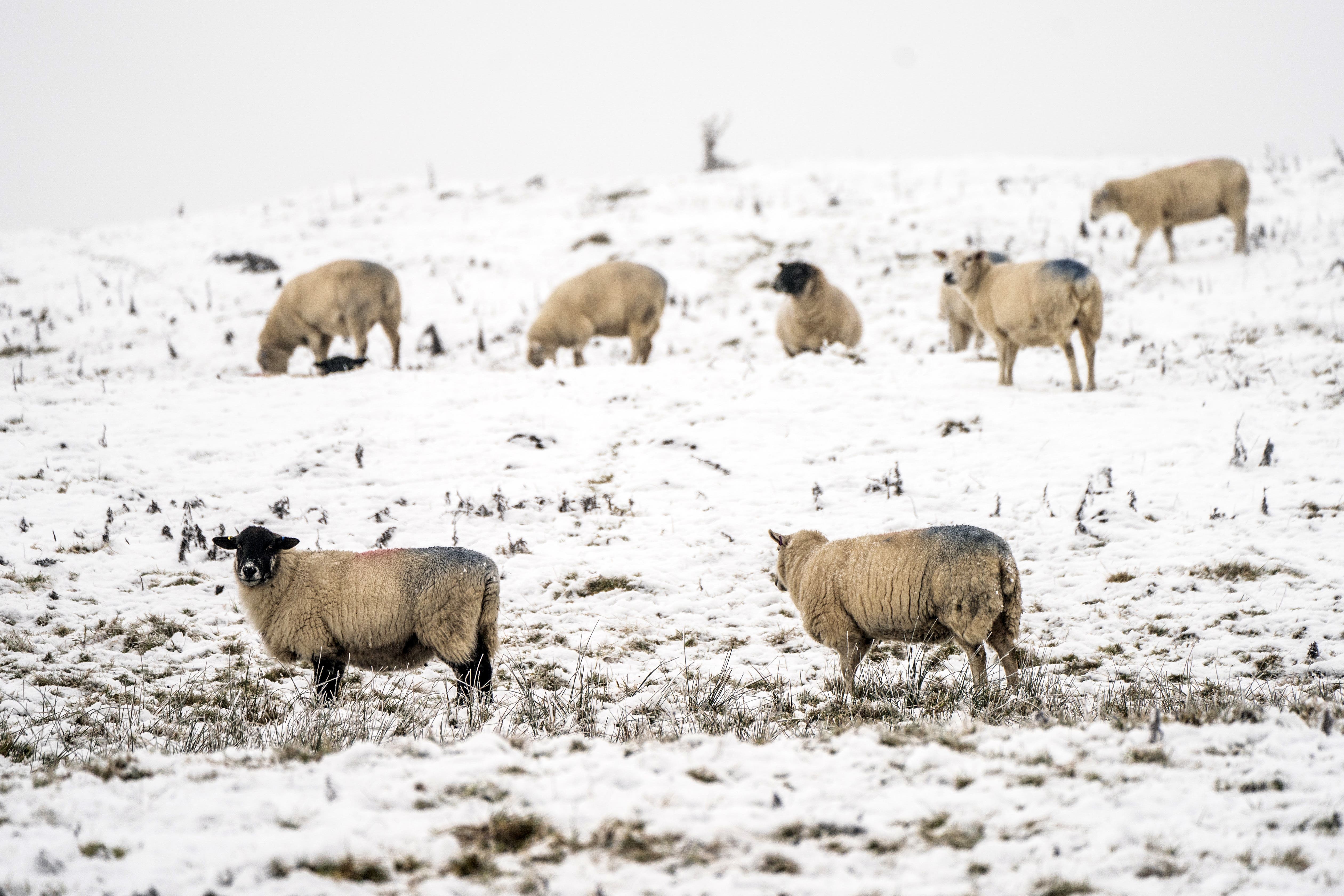 A major incident has been declared on Shetland amid adverse weather conditions as thousands of homes remain without power (Danny Lawson/PA)