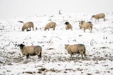 Thousands without power on Shetland as temperatures plummet to -17C