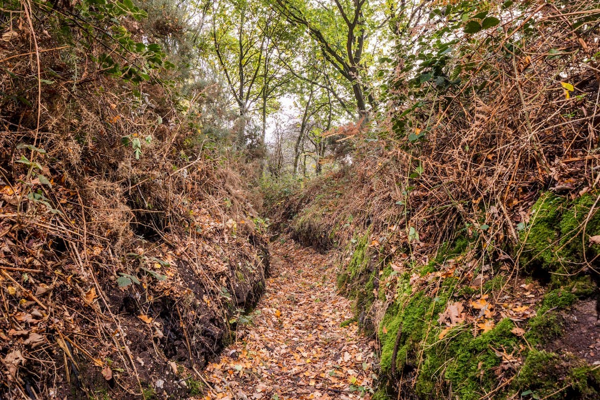 Lovat Scouts’ First World War training trenches, Docking, Stanhoe, Norfolk (Historic England)