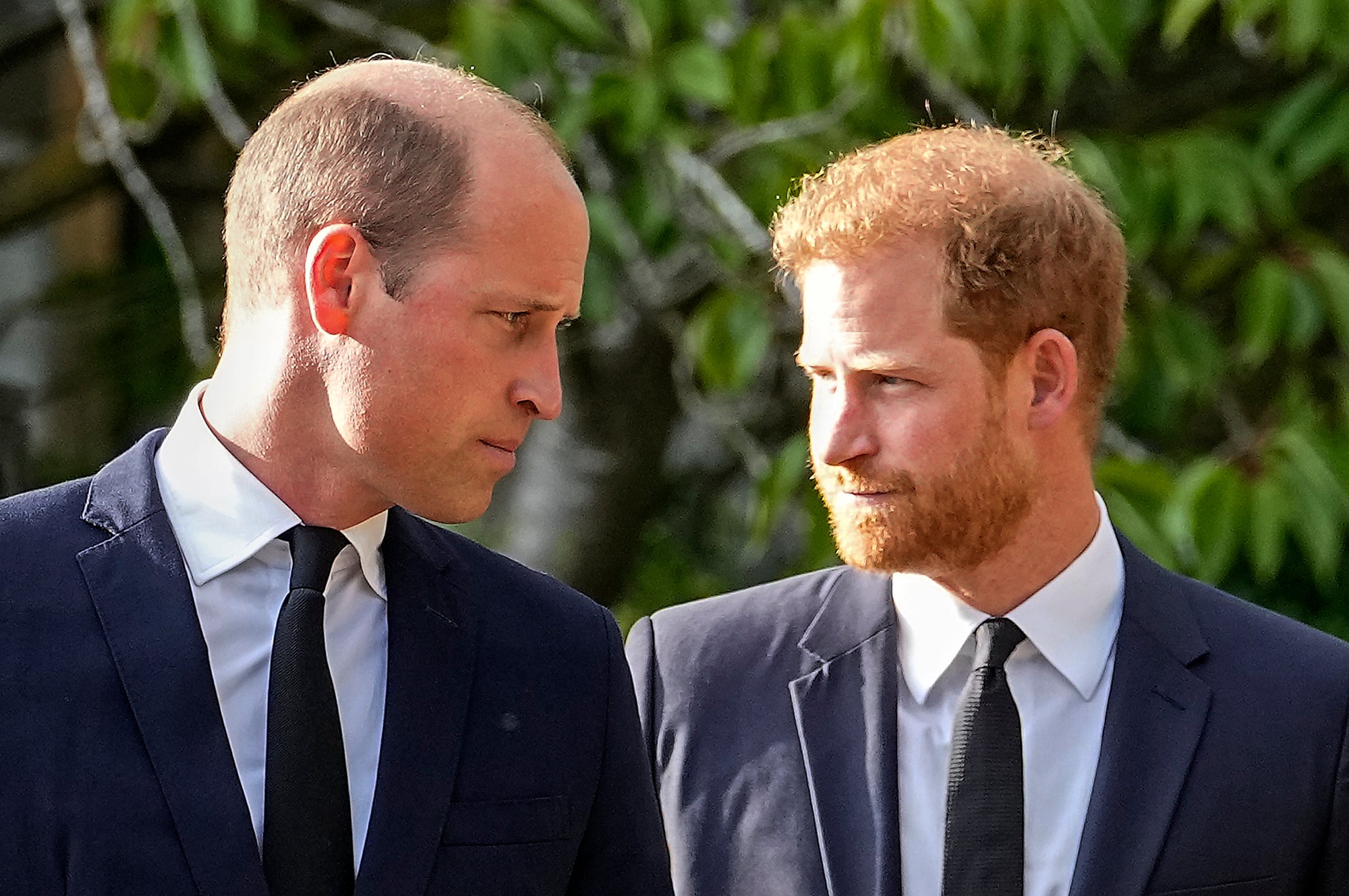 Princes William and Harry