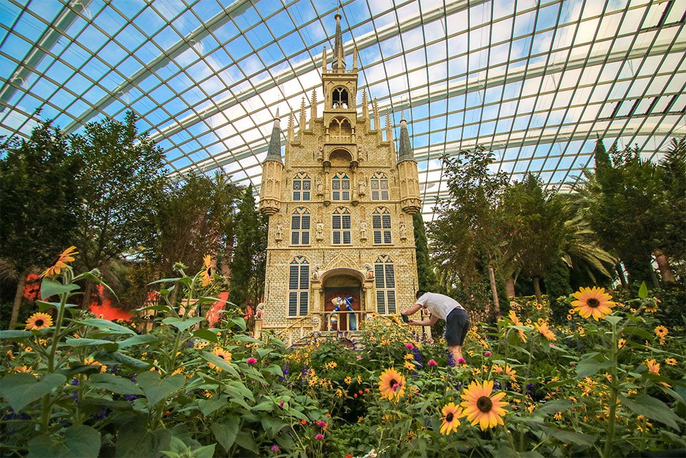 Hit horticultural heaven in Gardens by the Bay with beautiful blooms from around the globe