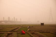 India’s deadly smog problem is bringing misery to New Delhi residents