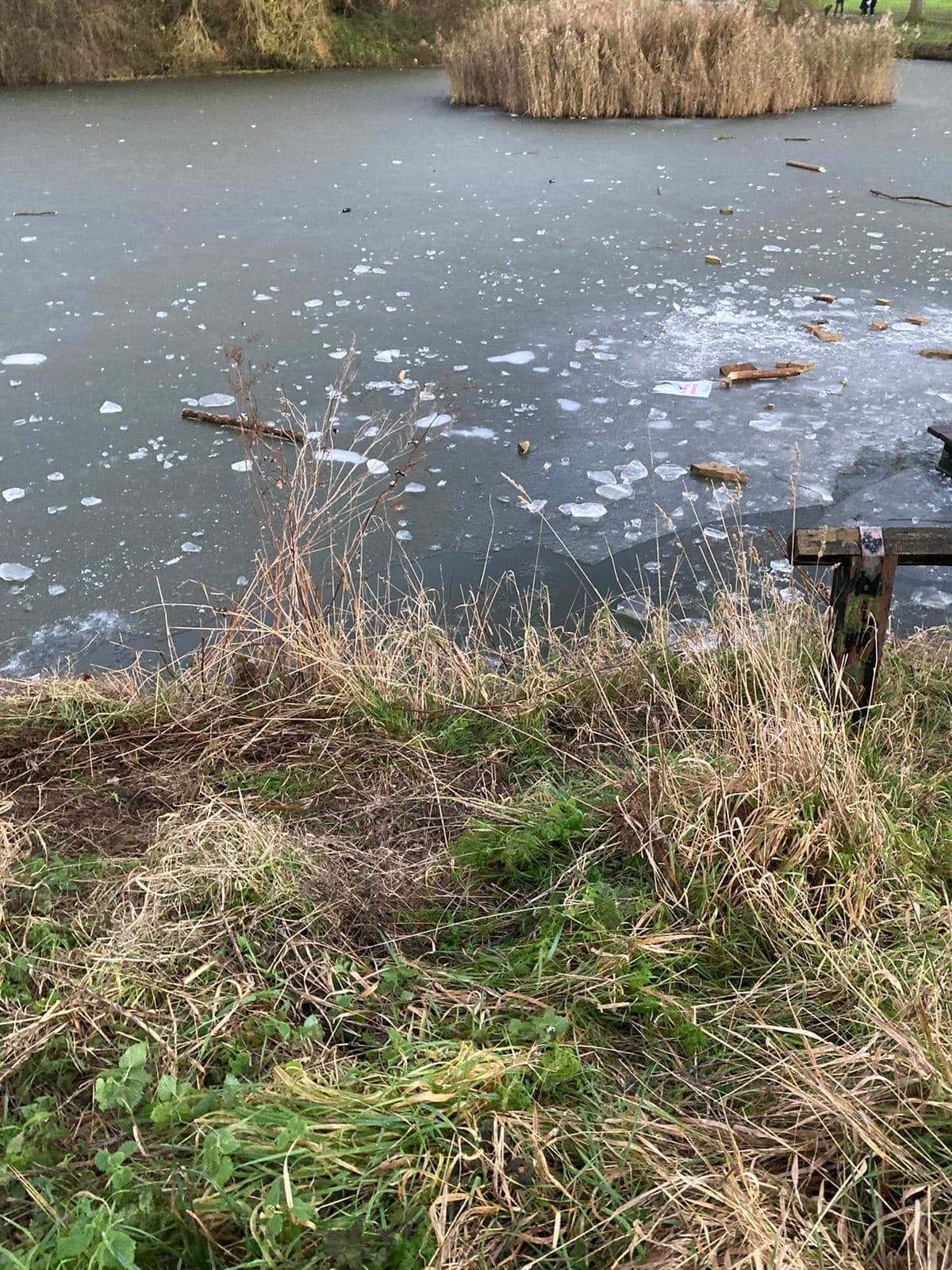 The dog fell through the frozen lake