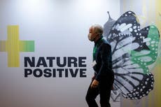 Why the Cop15 biodiversity discussions matter for us all