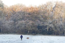 Snows disrupts travel and closes schools amid weather warnings