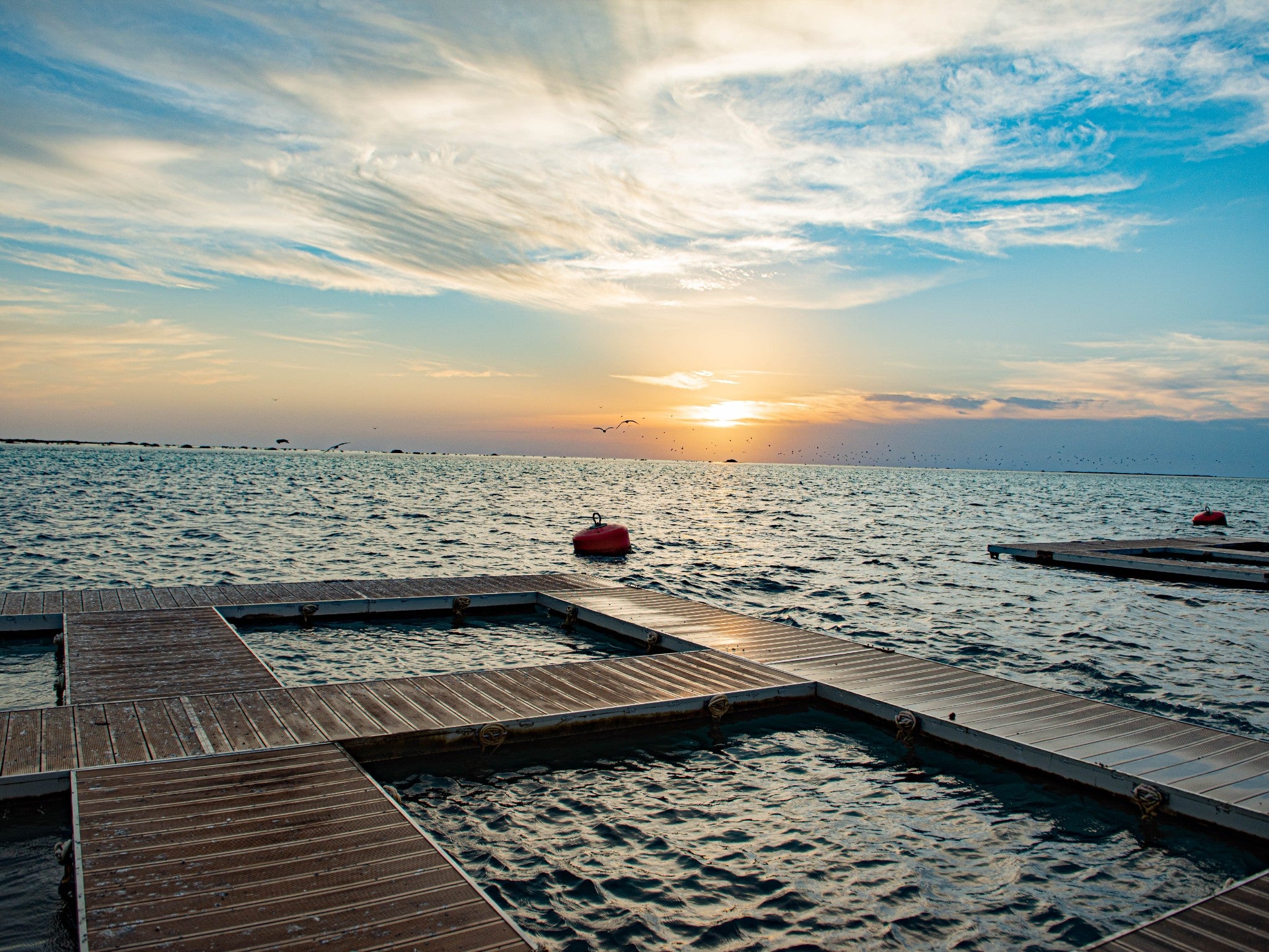 Coral nurseries in the Red Sea at sunset. In the distance: islands dot the horizon