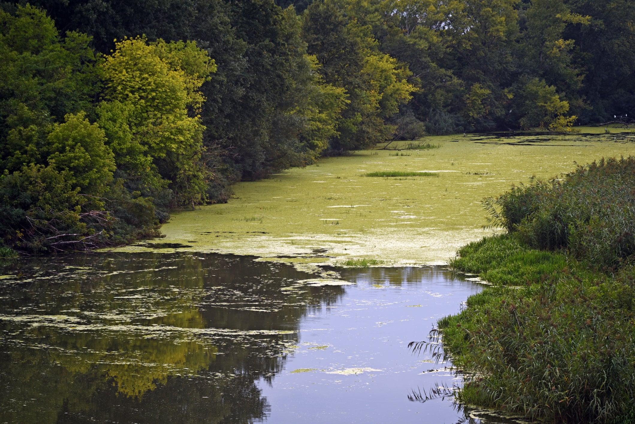 Overall water quality and protected sites were among missing targets