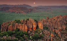 Where nature meets humanity: rock art, wildlife and heavenly habitats in Darwin’s Kakadu National Park