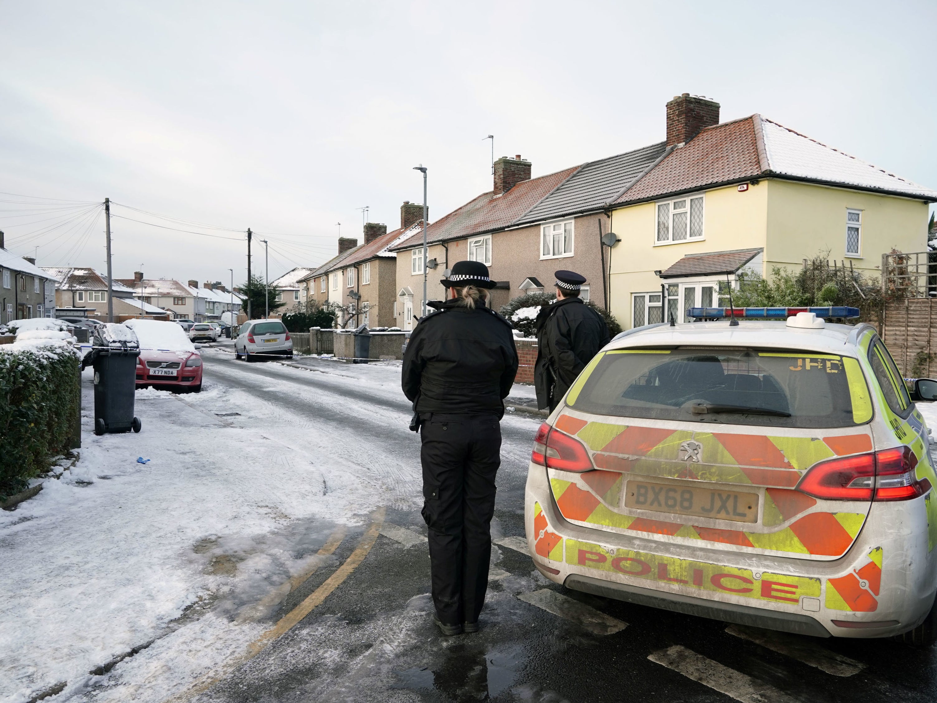 Neighbour ‘heard scream’ on road where two young boys found dead