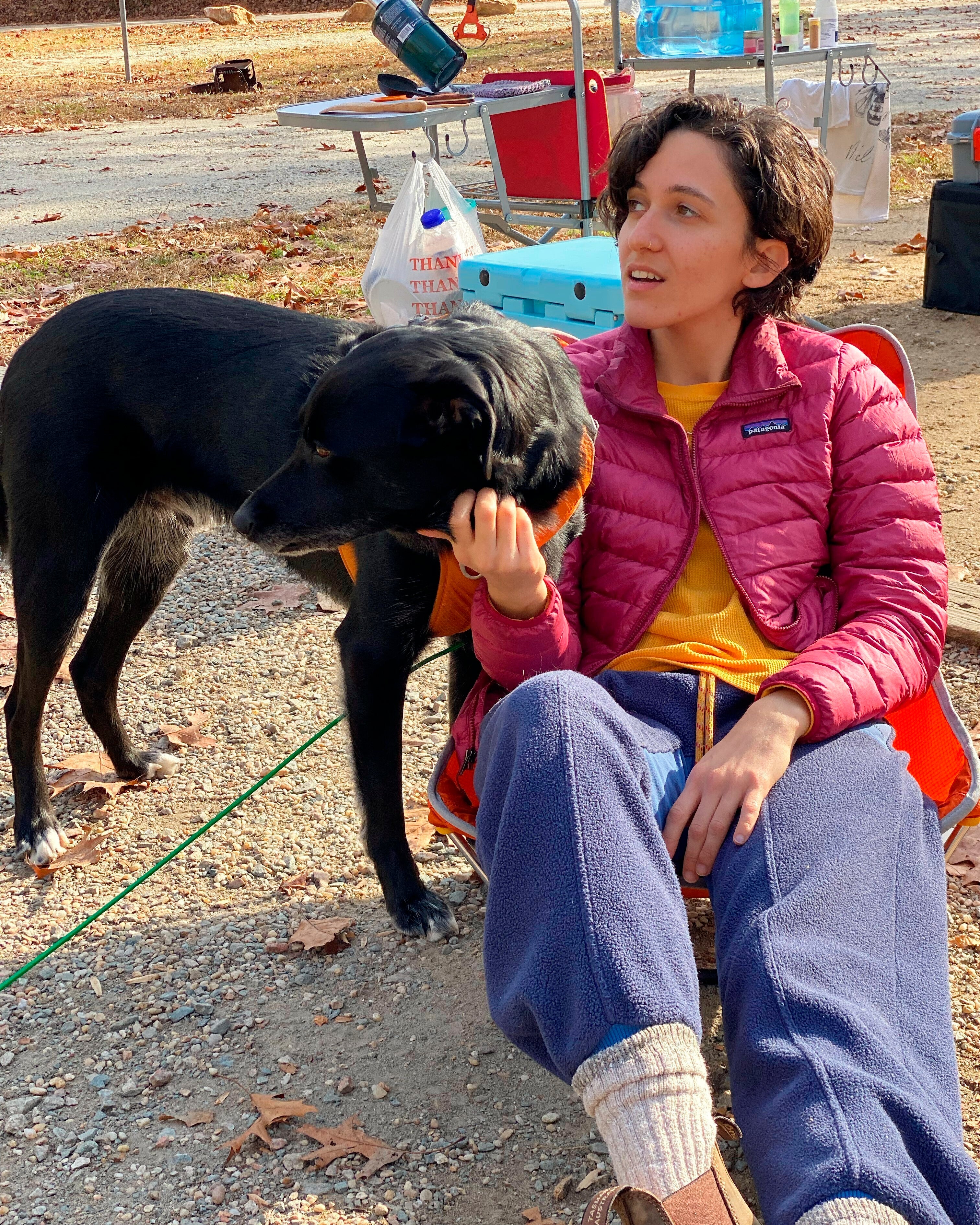 Pets-Holiday Home Stays