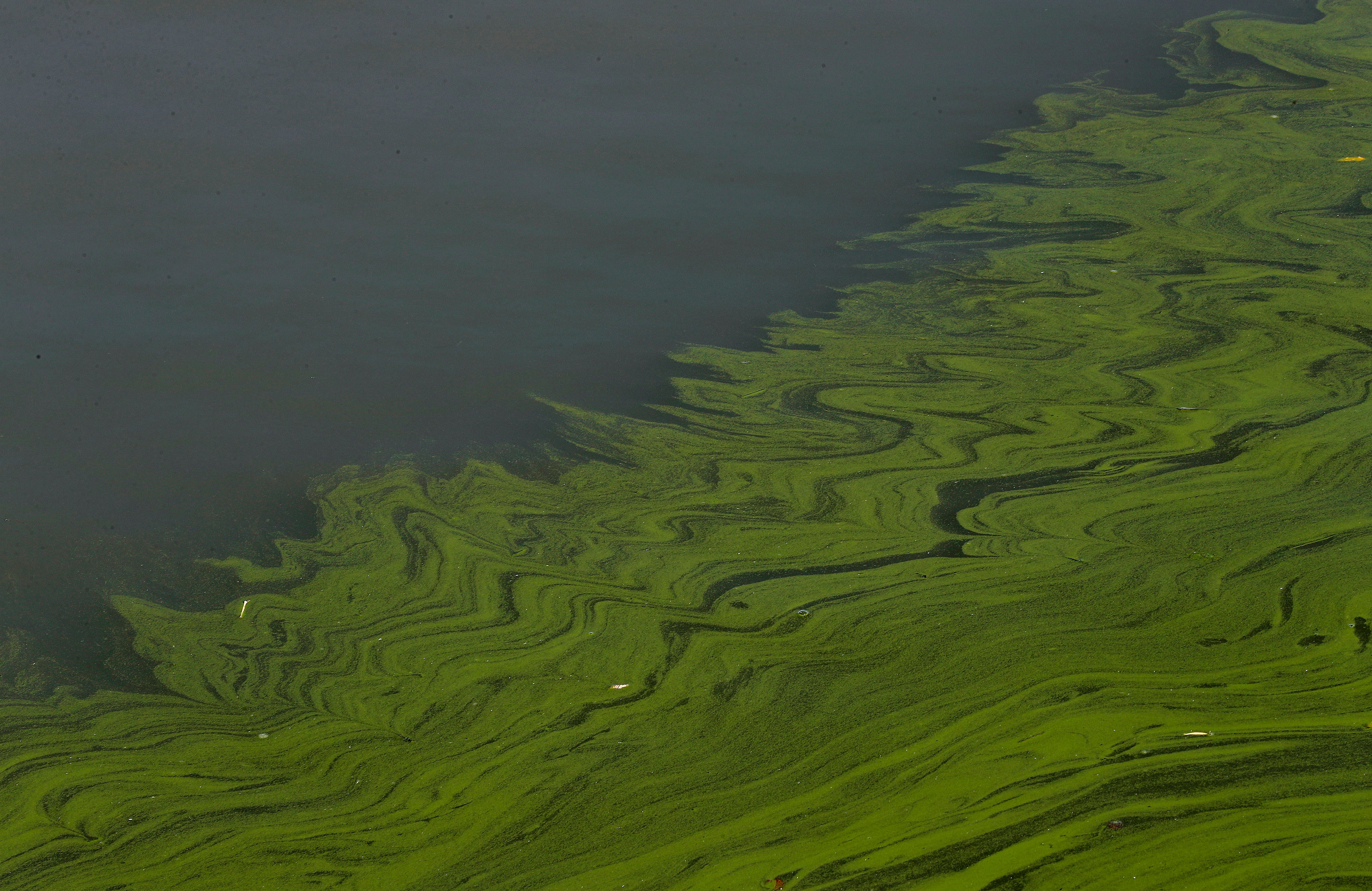 Climate Change Lake Acidity
