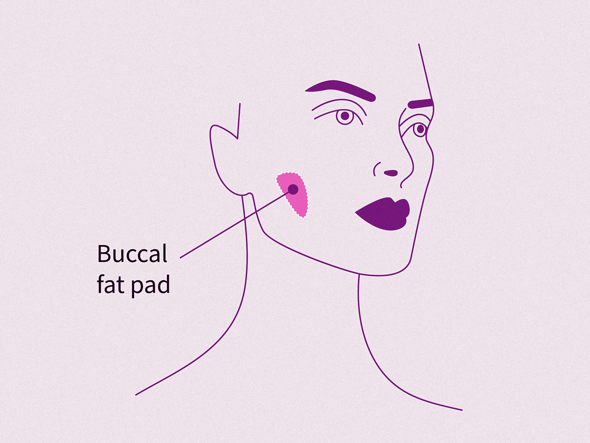 If you must know, your buccal fat pad is located just under your cheek