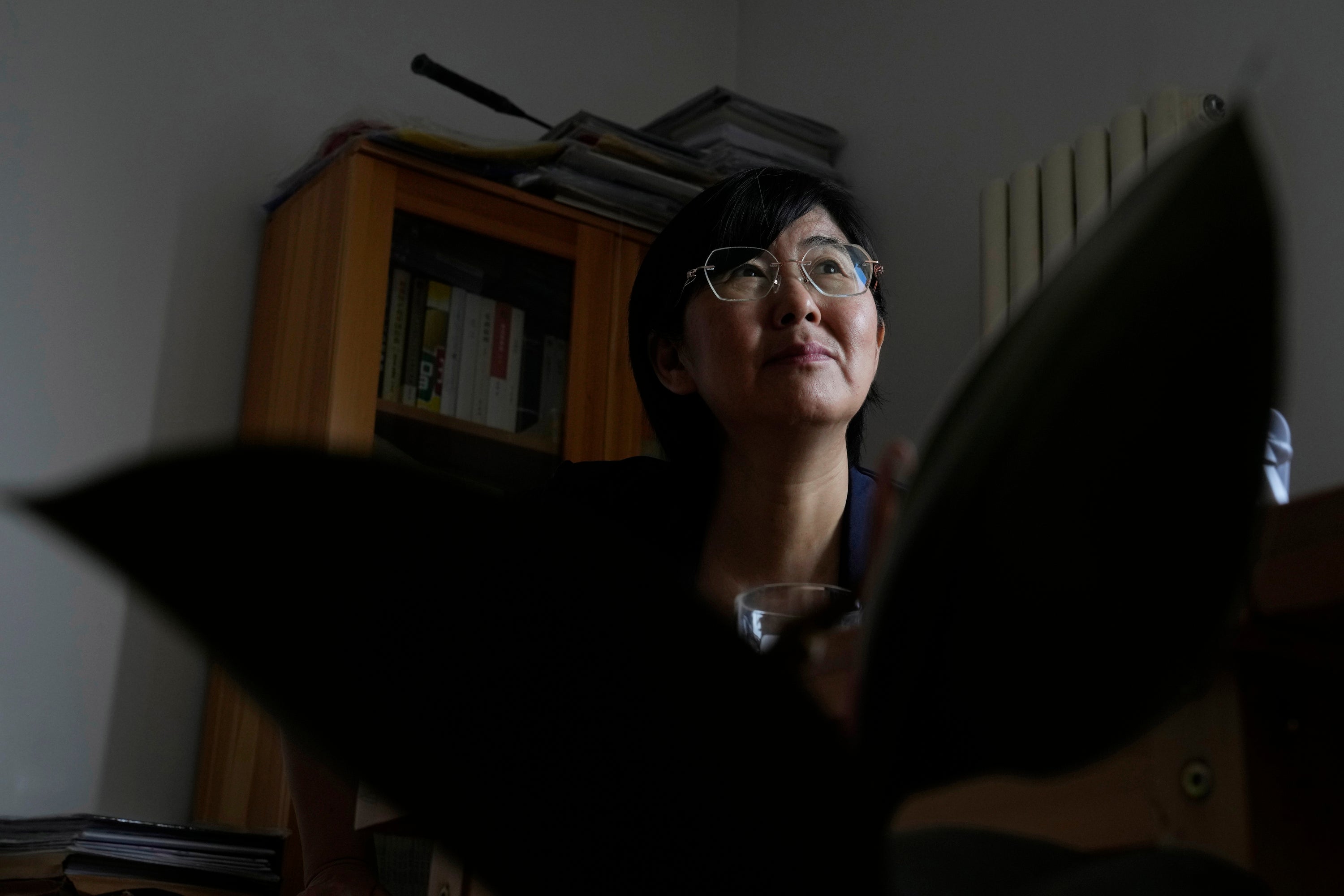 Investigation Tracked Global Surveillance China