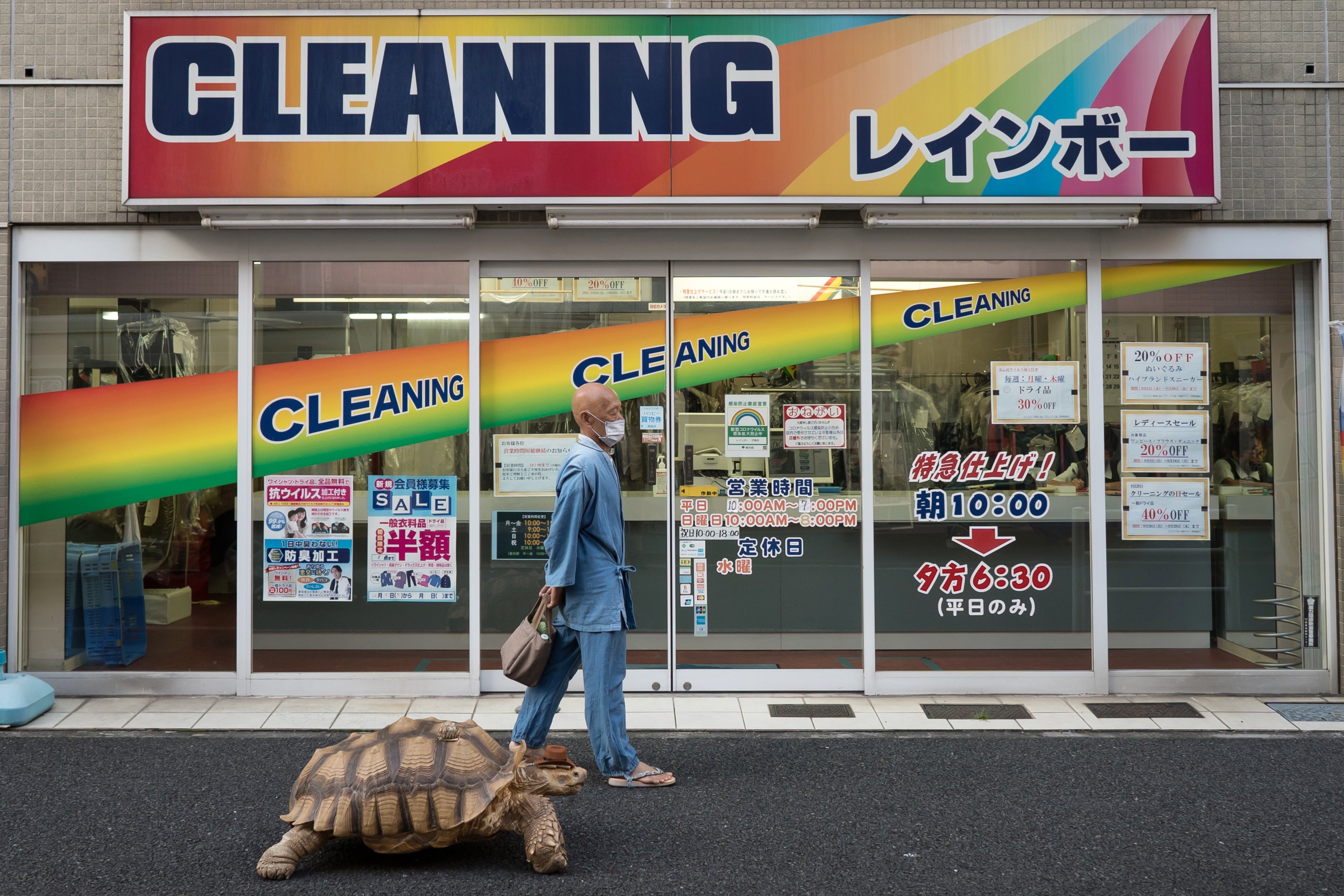 Hisao Mitani walks with an African tortoise, which he named Bon-Chan, on the street in Tokyo, Japan