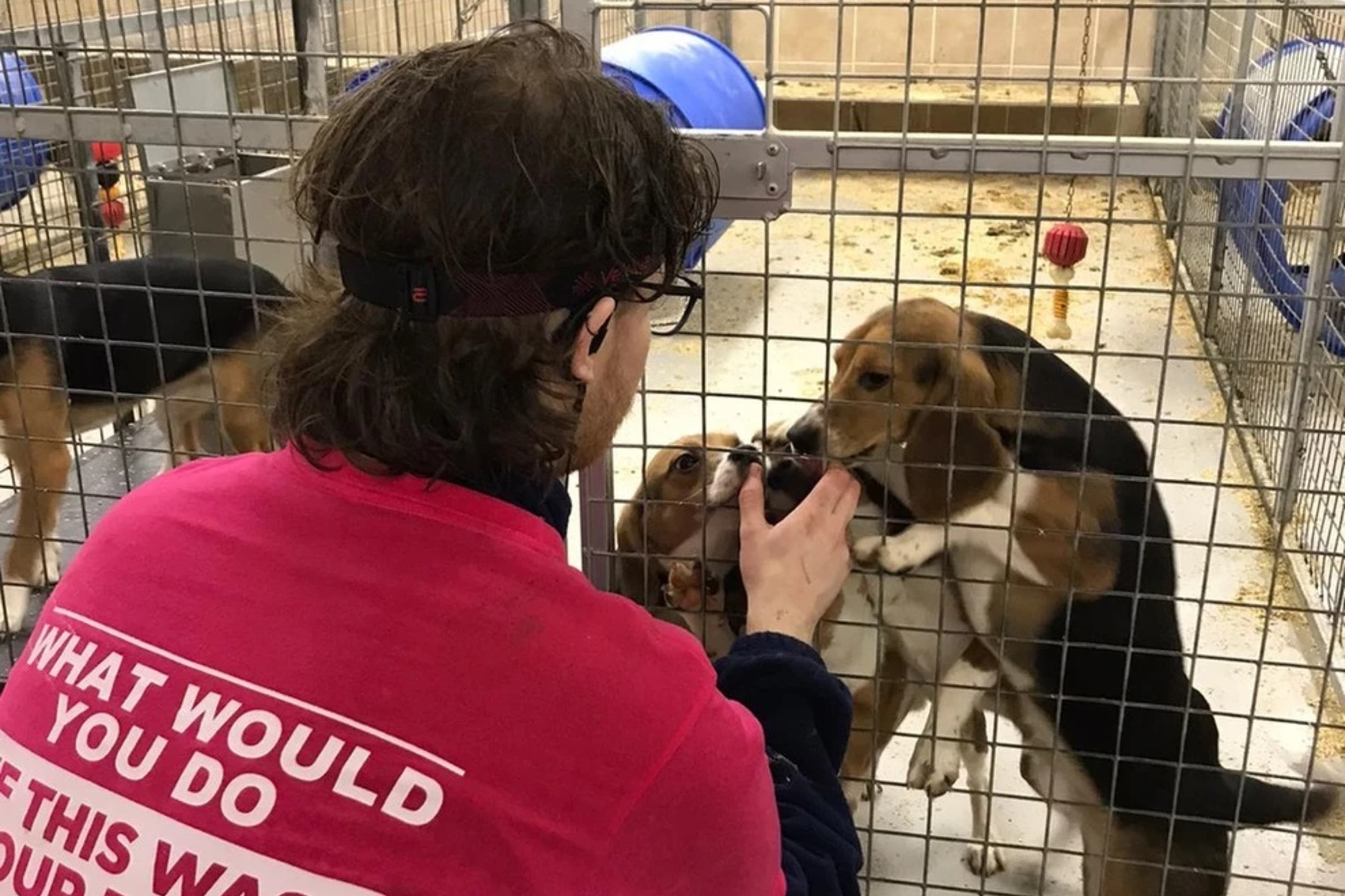 Activists during a break-in at the MBR Acres research facility in Wyton, Cambridgeshire (Animal Rebellion/PA)