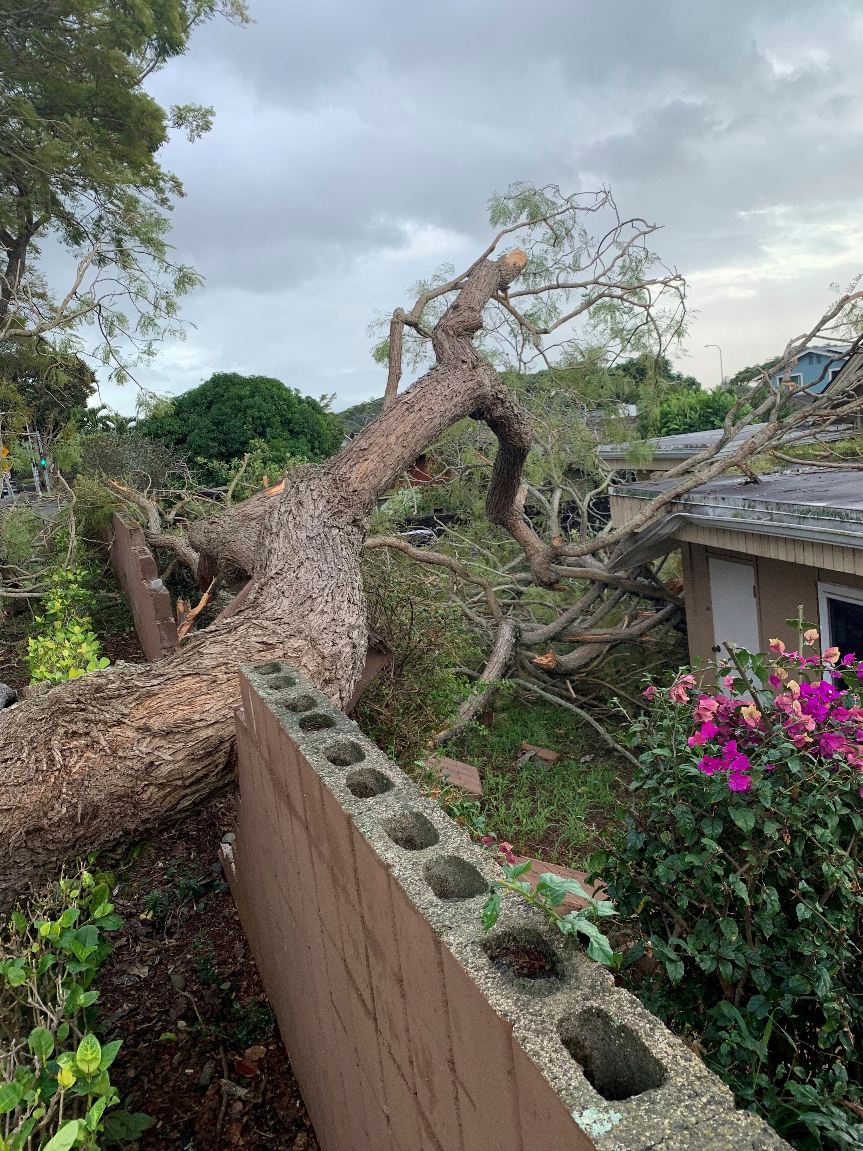 Hawaii Winter Weather