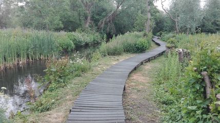 The woman was recovered from the river in the west London woodland