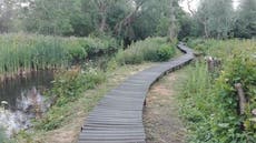 Woman, 61, found dead in west London woods