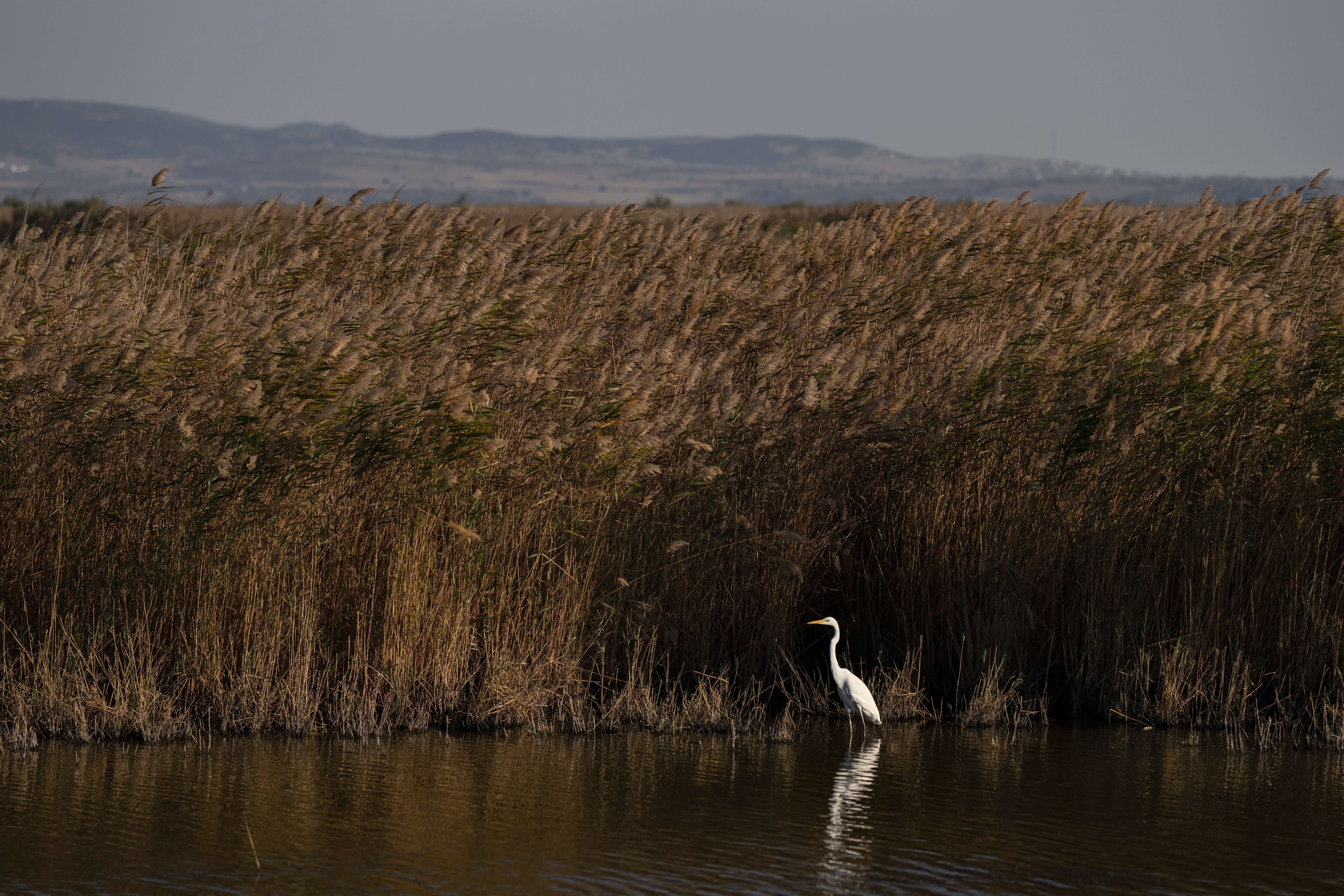 Greece Turkey Border Wall