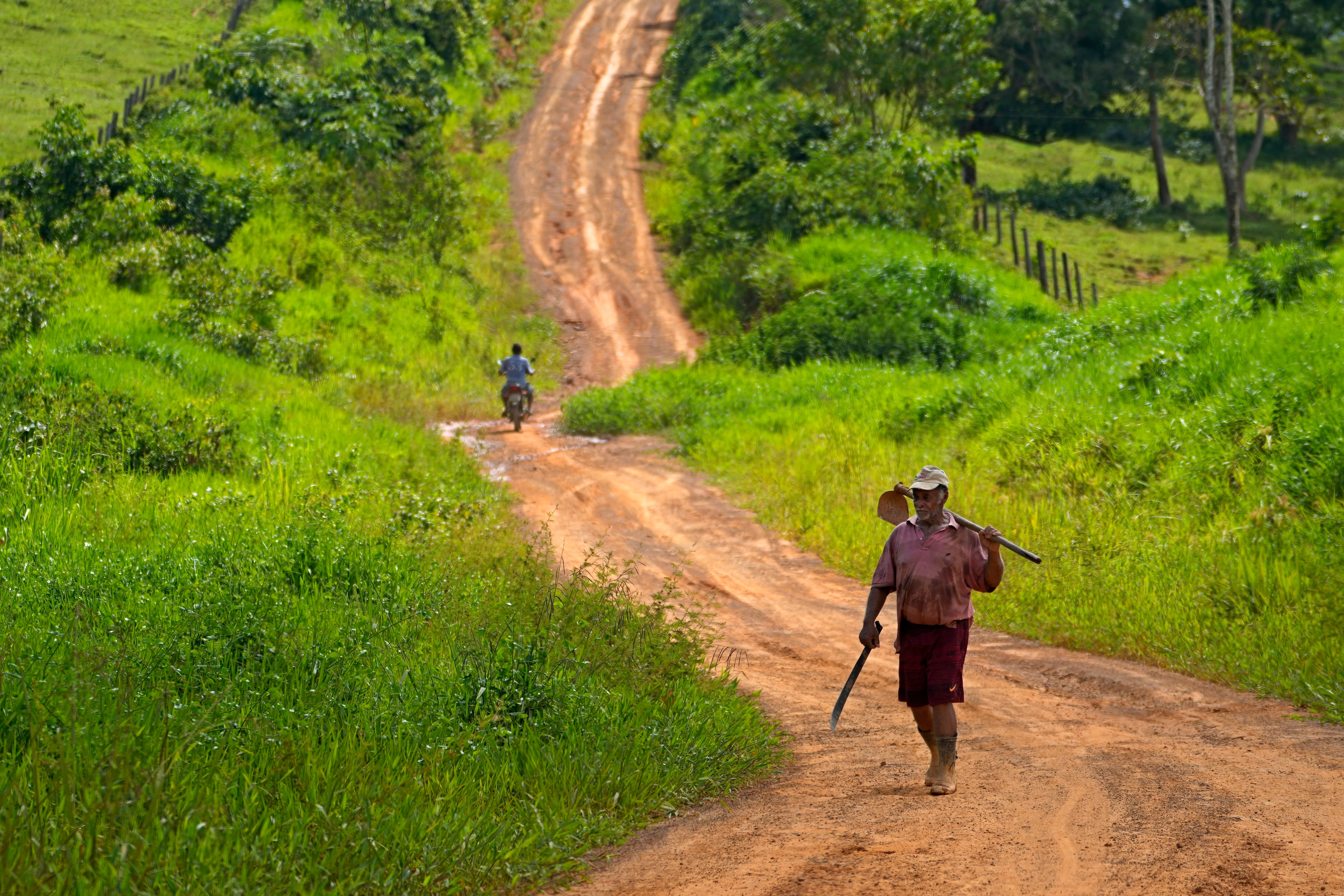 Amazon Lula Deforestation