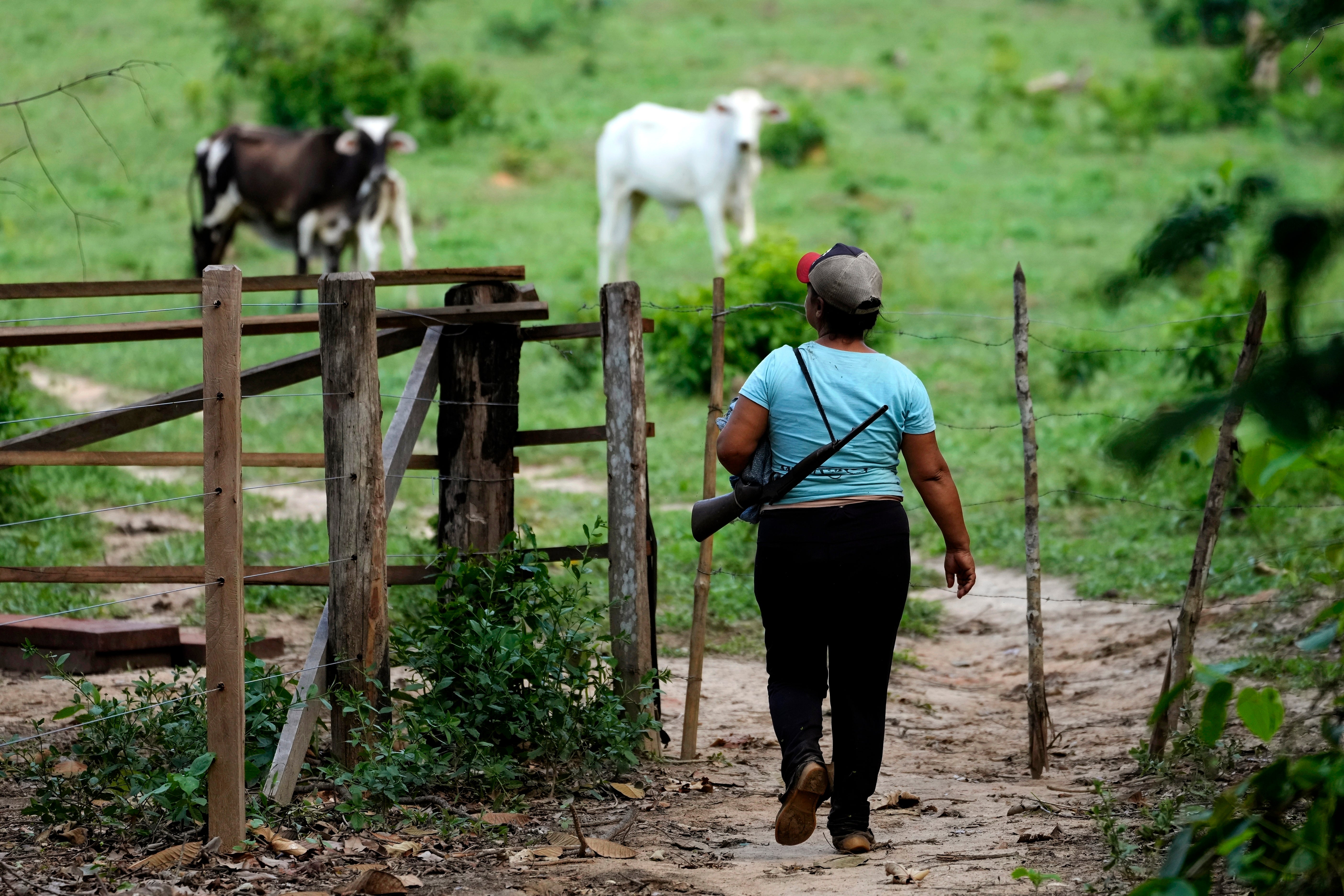 Amazon Lula Deforestation