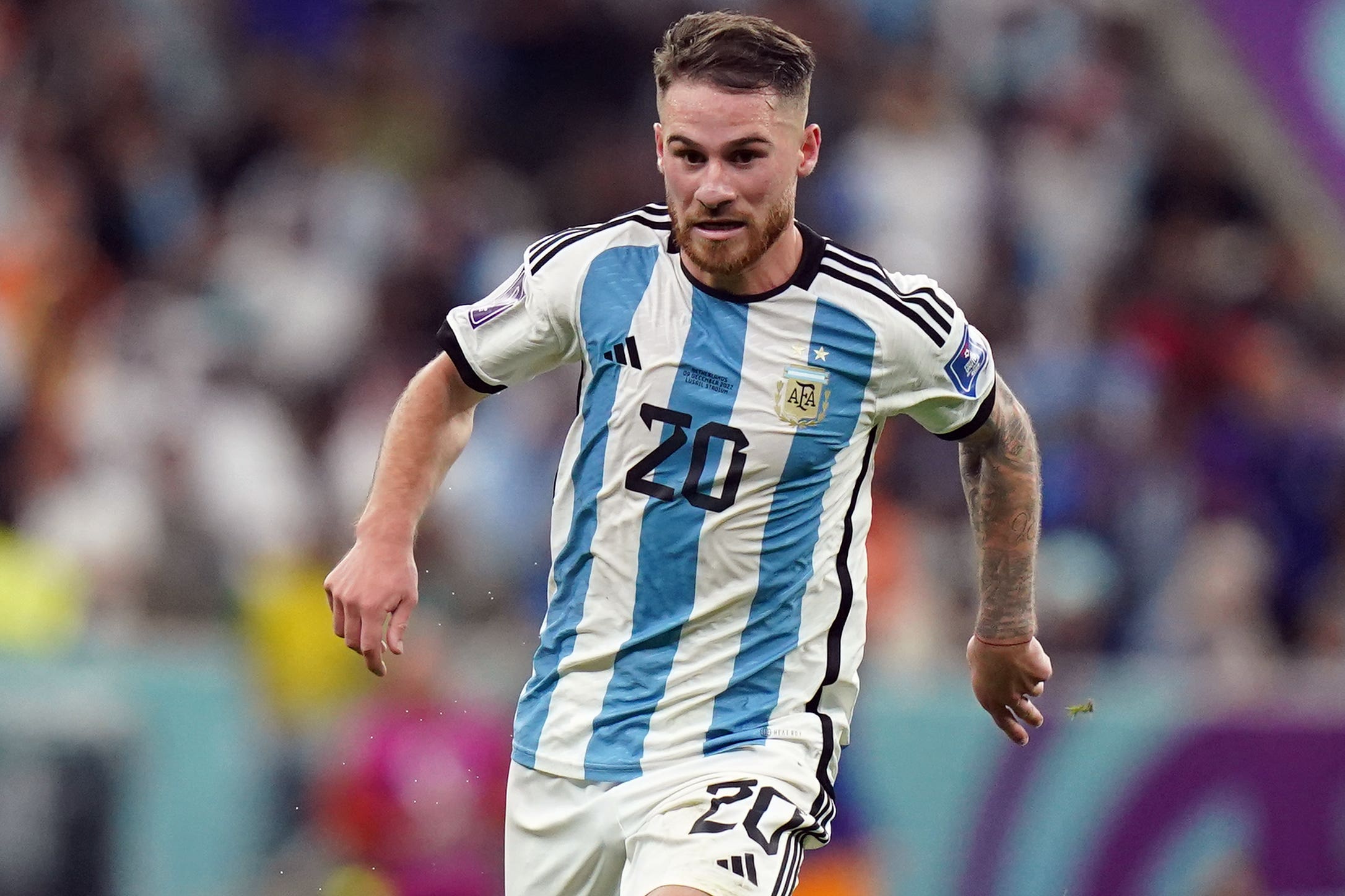 Brighton’s Alexis Mac Allister in action for Argentina at the World Cup (Adam Davy/PA).