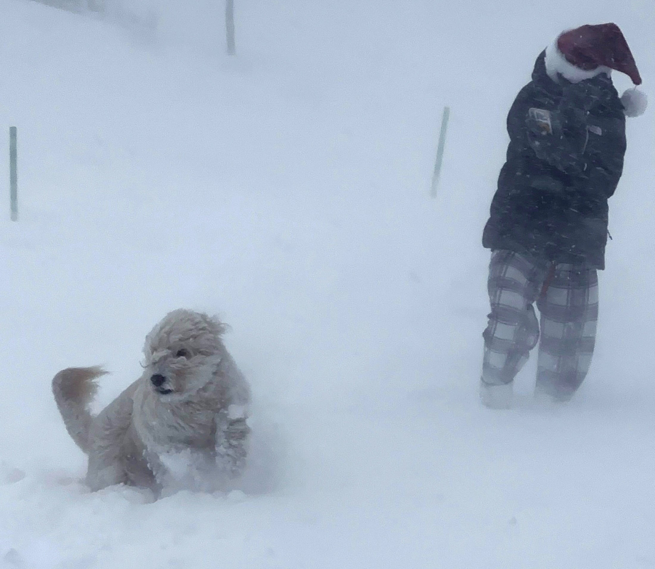 Lyla Kelly plays with her dog Maggie in the snow during a winter storm that hit the Buffalo region in East Amherst, New York, U.S. December 24, 2022