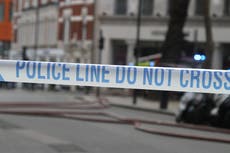 Man arrested after woman, 22, dies in crash in north London