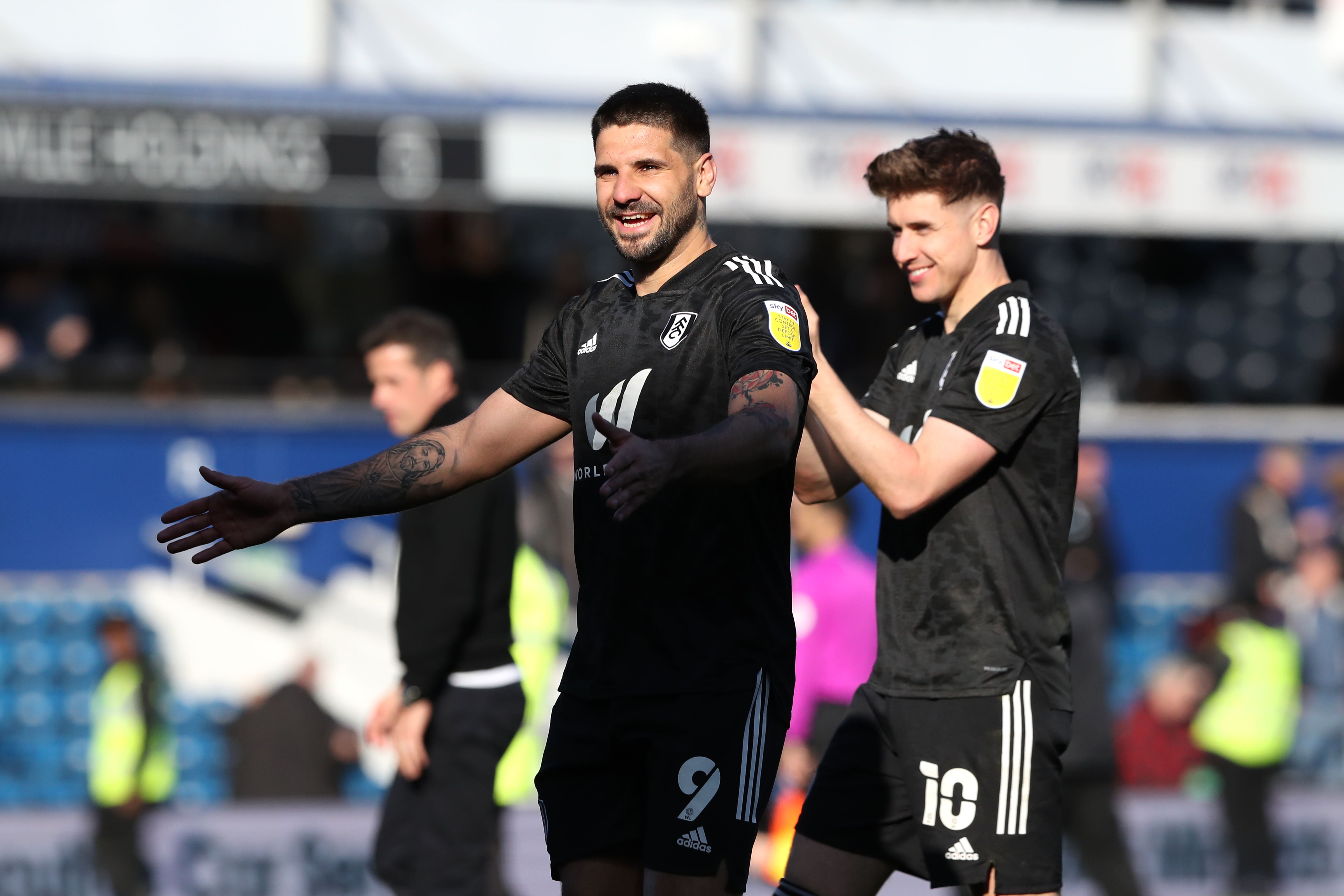 Aleksandar Mitrovic (left) and Tom Cairney both starred in the Championship (Kieran Cleeves/PA)